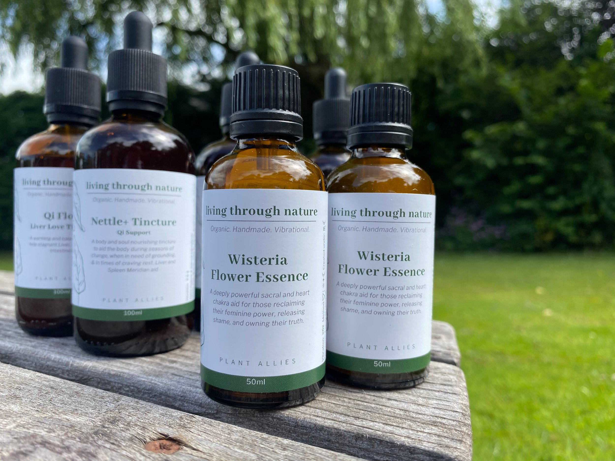 https://i.etsystatic.com/16066465/r/il/67e2fc/4924675681/il_fullxfull.4924675681_rrb9.jpg