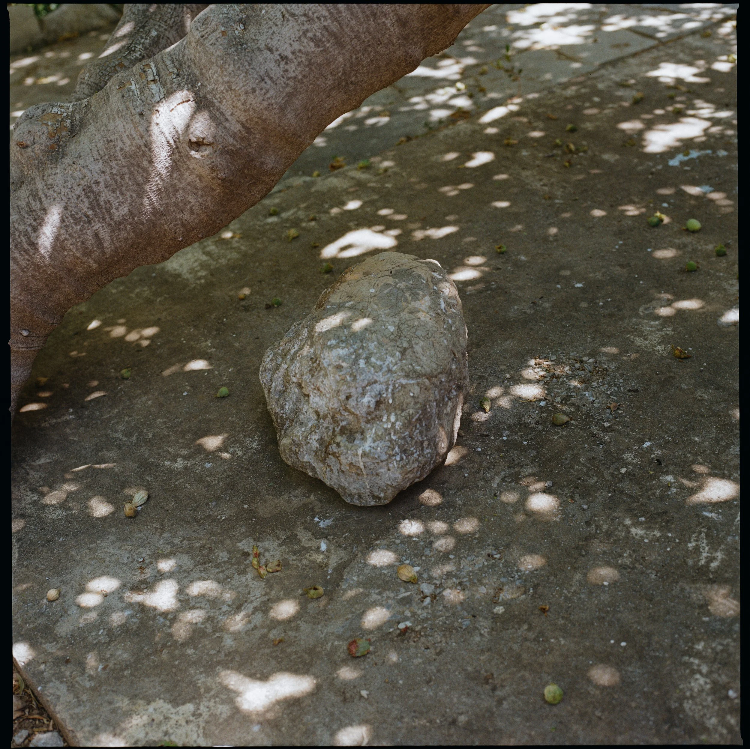 Jack Whitten_Agia Galini -- Yannis Drakoulidis