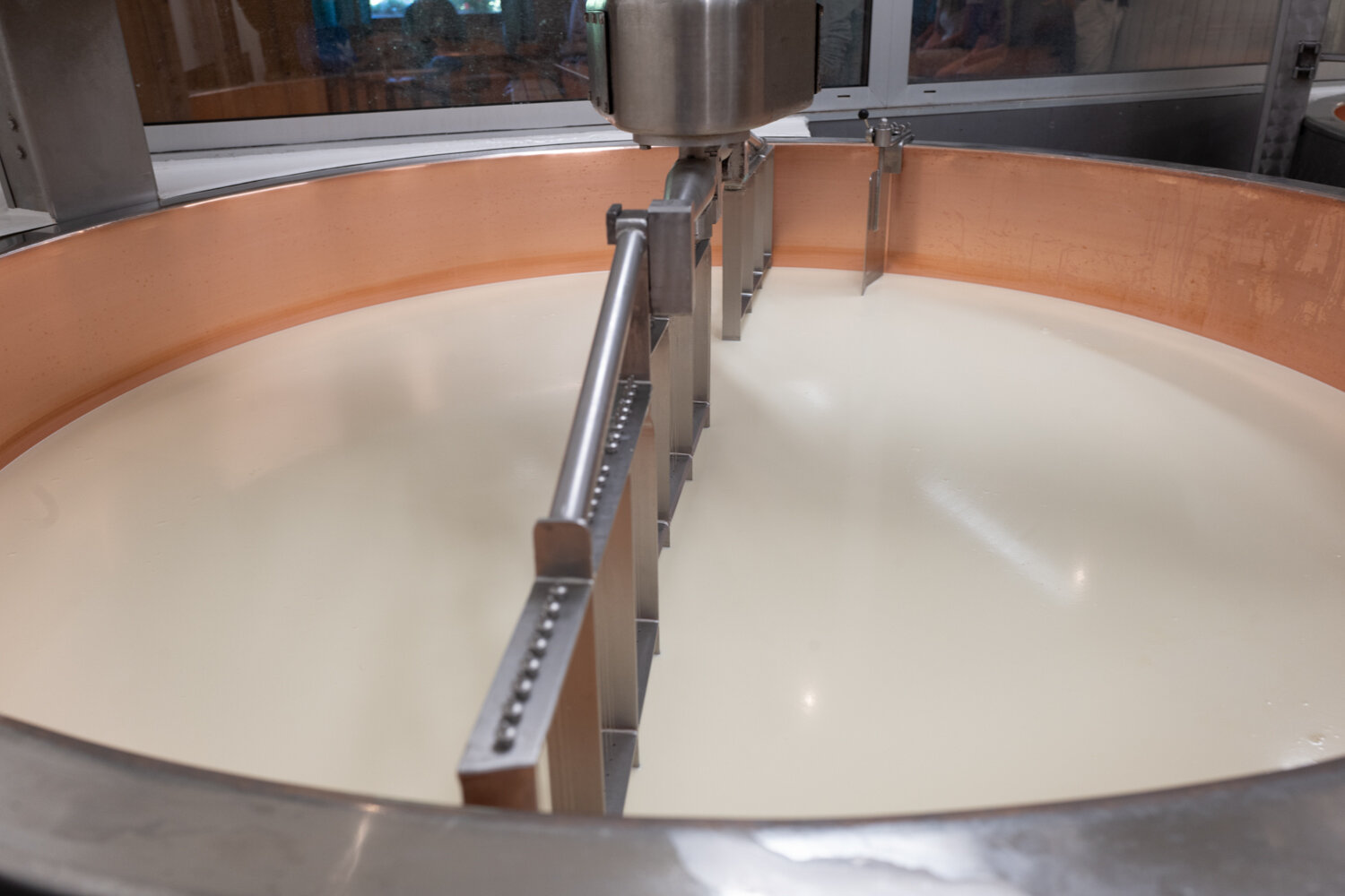  Alexis heats the milk in the copper cisterns, adds the rennet to get it curdle, heats again up to 54° the curd during 30 to 40 minutes to get the proper consistency basis for the cheese, that will be pressed during 24 hours before being soaked in sa