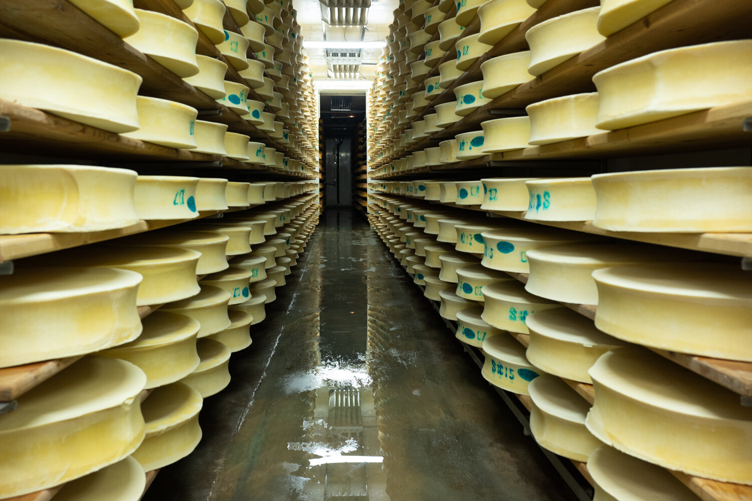  The cellar where cheeses mature during 5 months. 