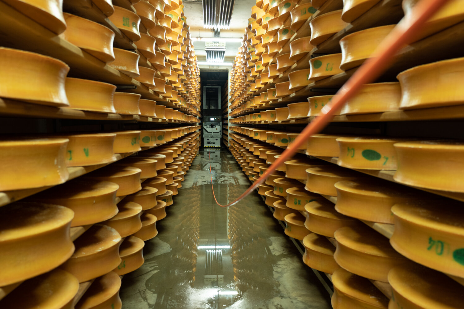  The vault: the more mature, the more golden and valuable the cheeses become, making the cellar look like a round ingots vault. 