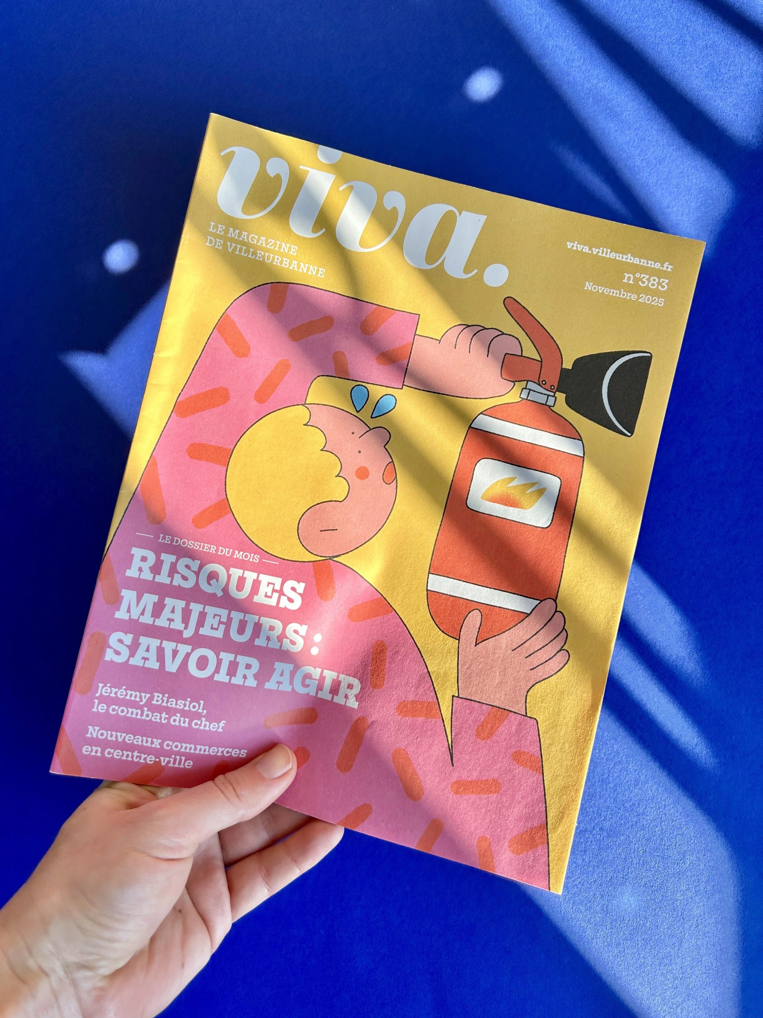 Viva novembre couverture.jpg