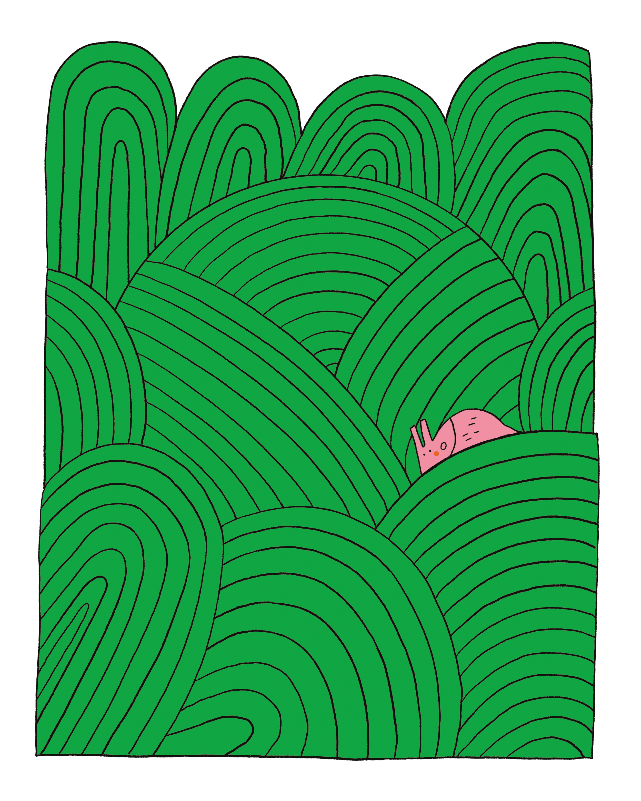 Lou Gille • Illustration Limace et salade