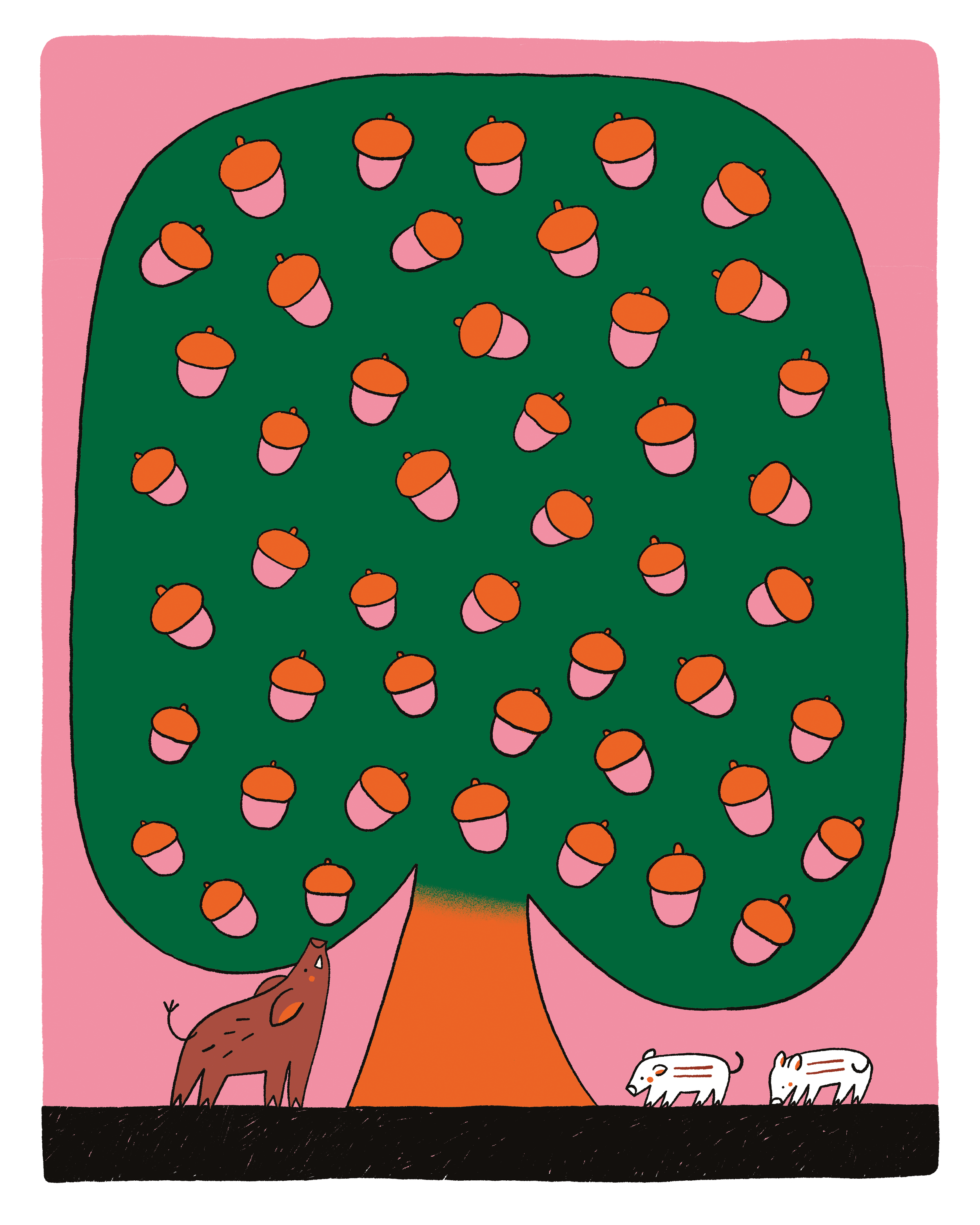 Lou Gille • Illustration chêne, glands et sanglier