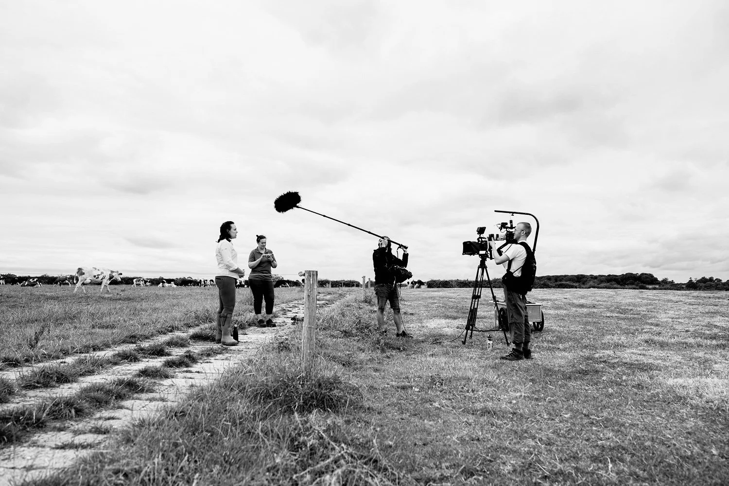 Video+production+Hertfordshire+and+Bedfordshire+-+Video+crew+in+farmers+field.jpg