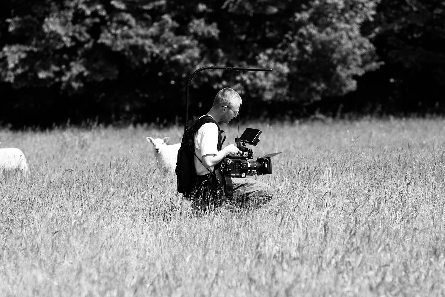 videographer working in field in cambridgeshire.jpg