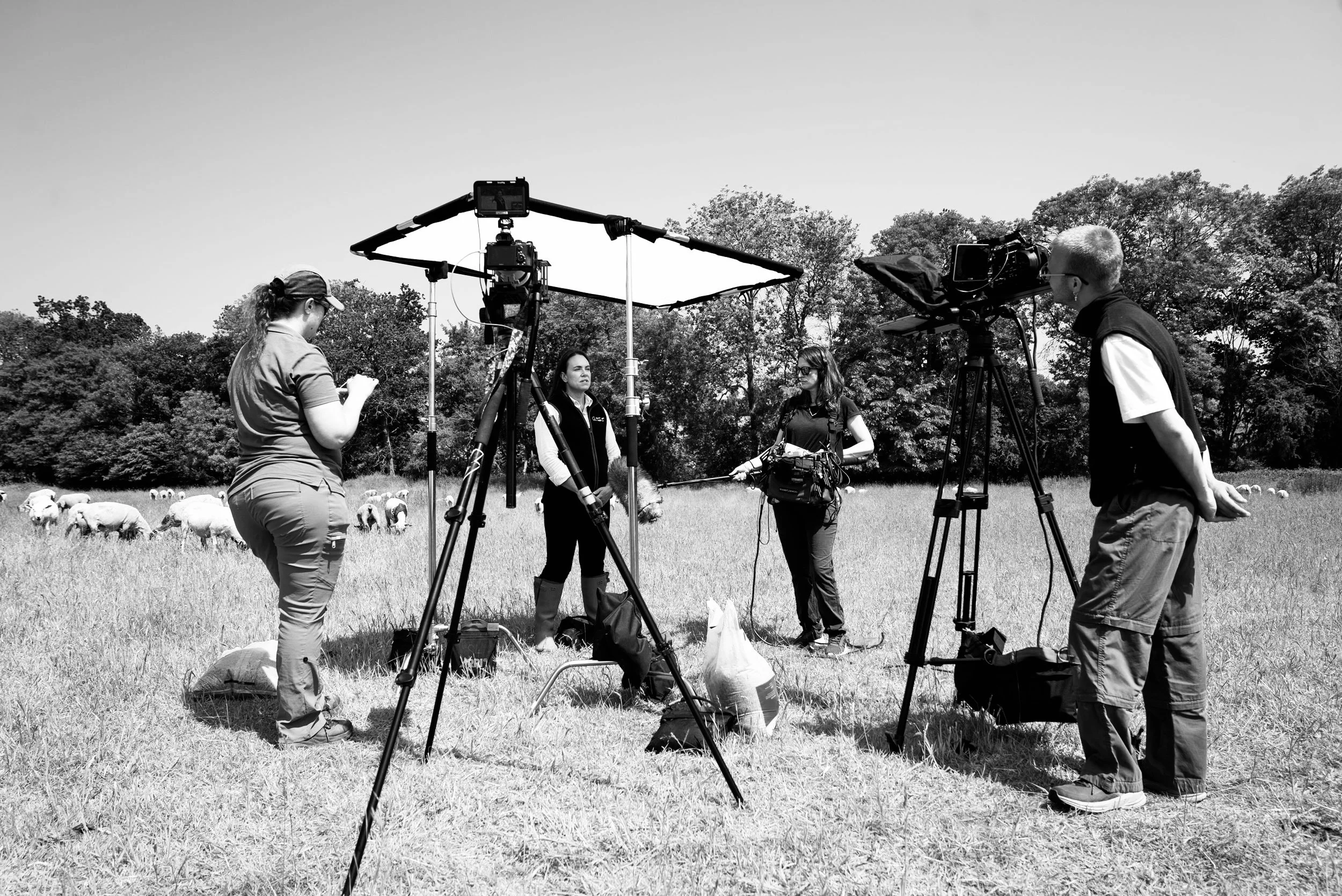 professional videography company in hertfordshire.jpg