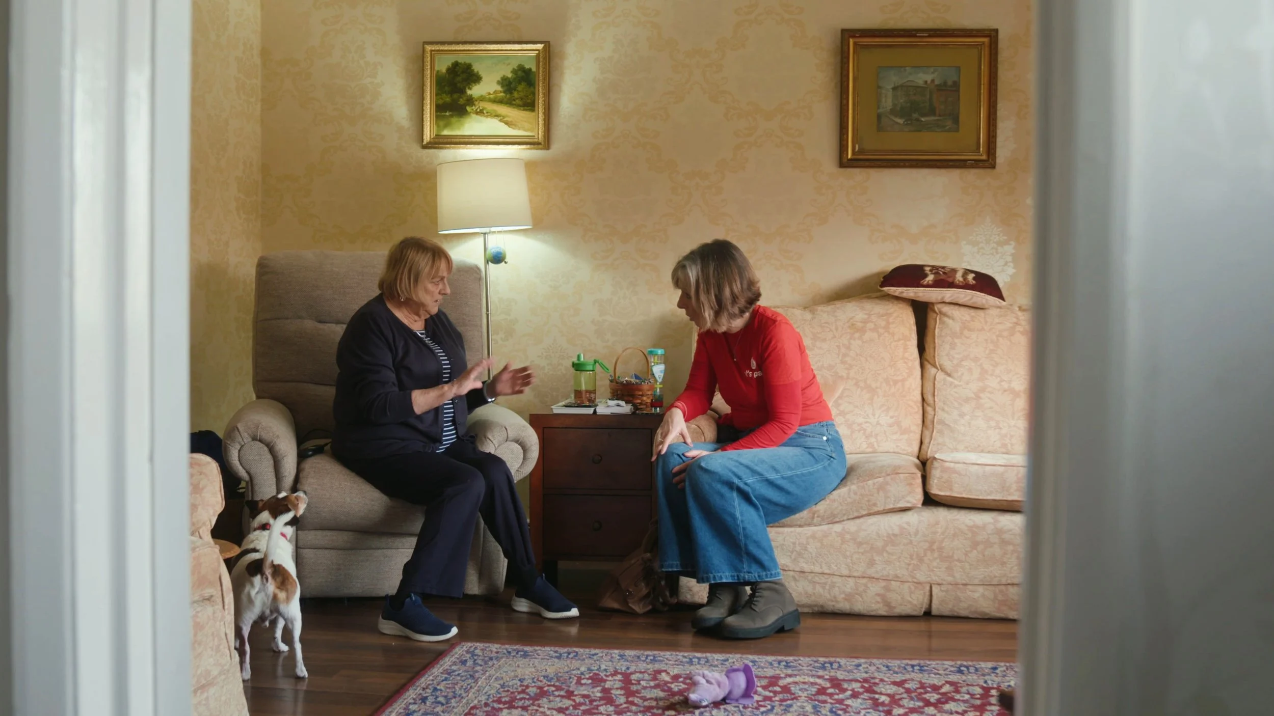 Al’s Pals Cancer Charity — Home &amp; Hospital