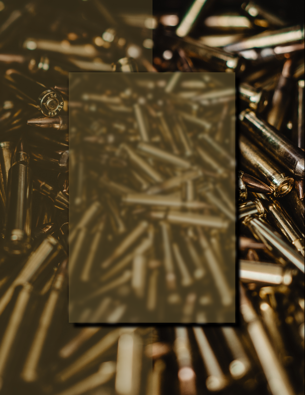 SRINIVAS VS STATE OF KARNATAKA - 