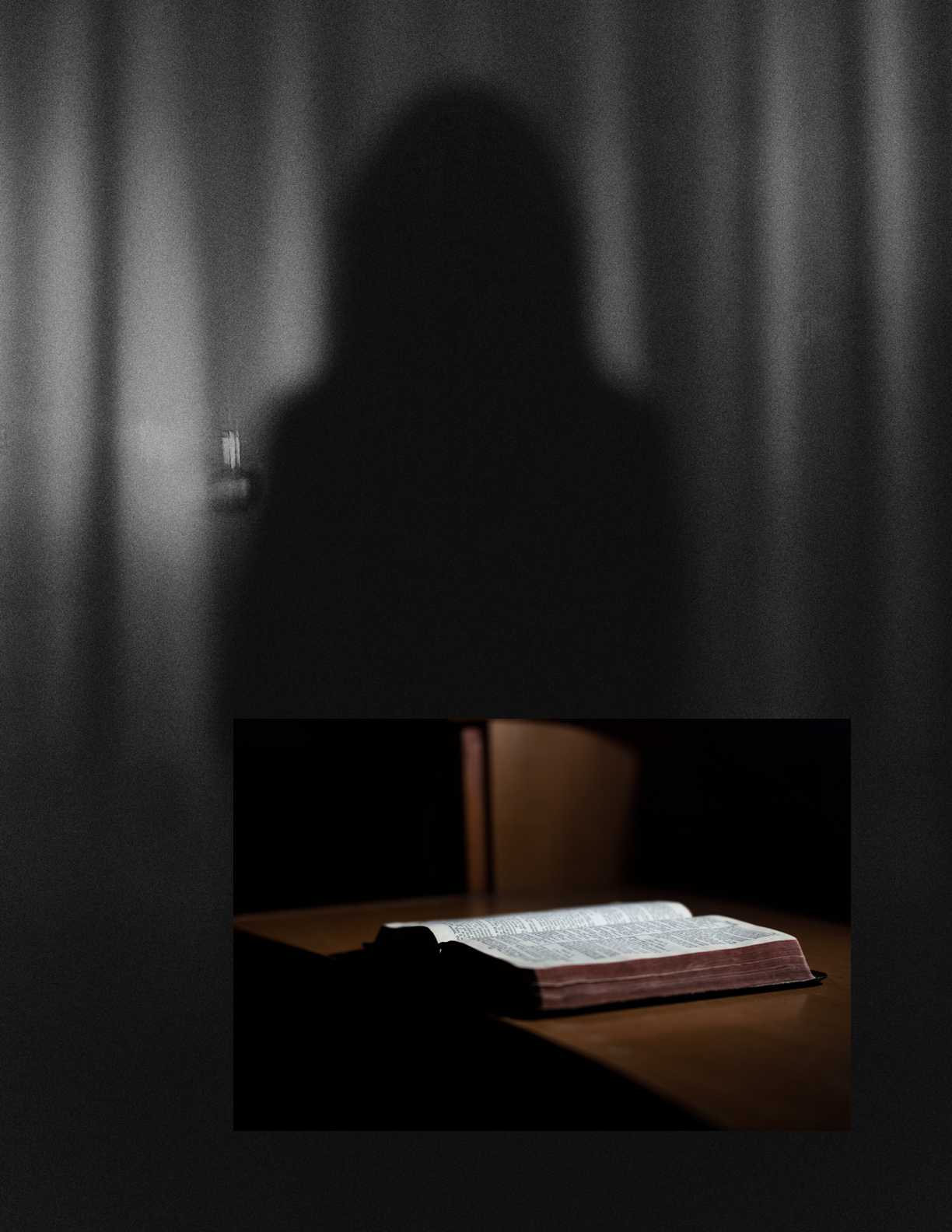 We have handled about a thousand odd cases (which includes criminal, civil, revenue, and MVC) and that kind of makes us experts in the field of law. - 