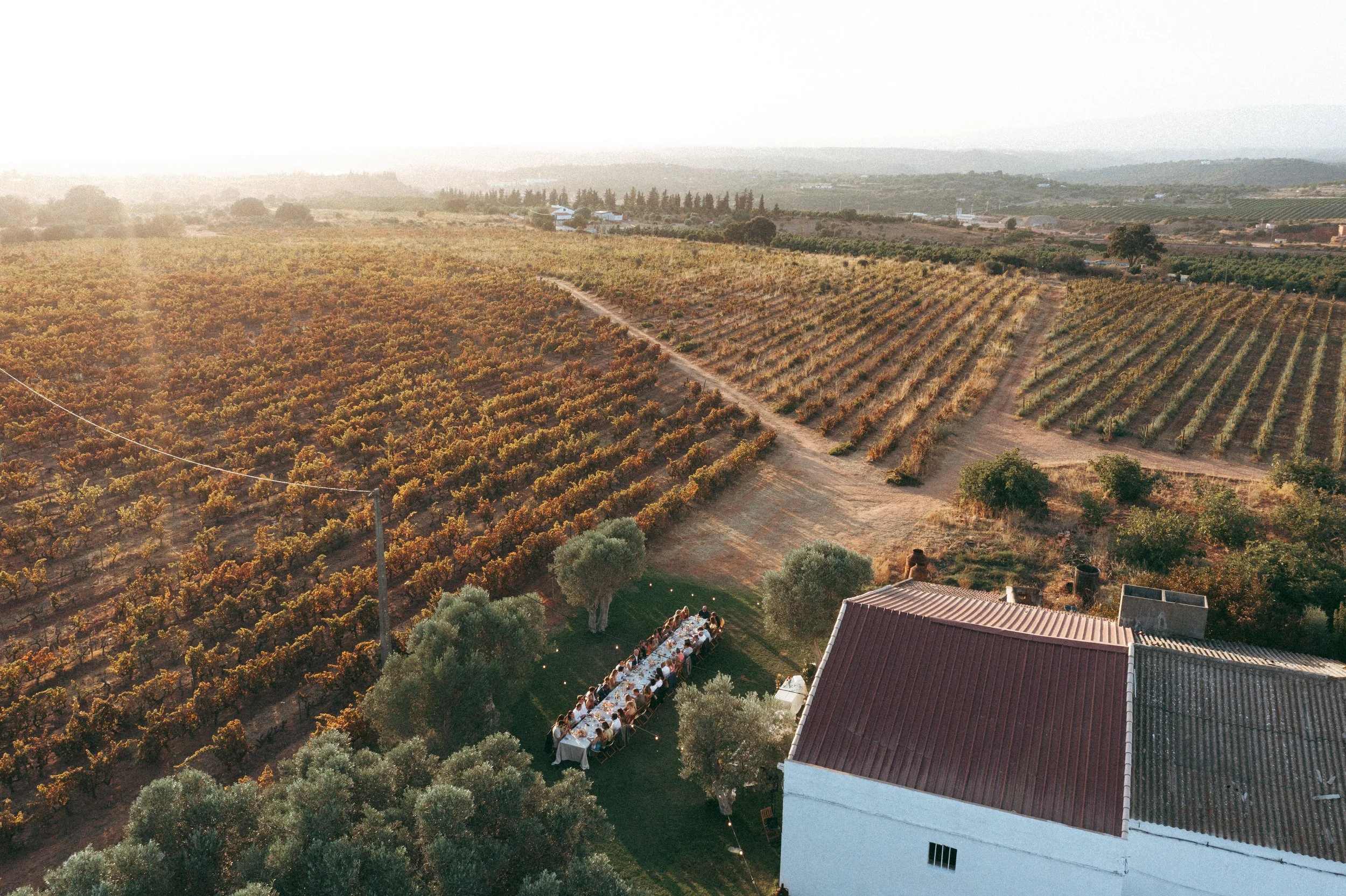 Aerial view of a long wedding dinner table surrounded by vineyards at Morgado do Quintão in the Algarve, Portugal.