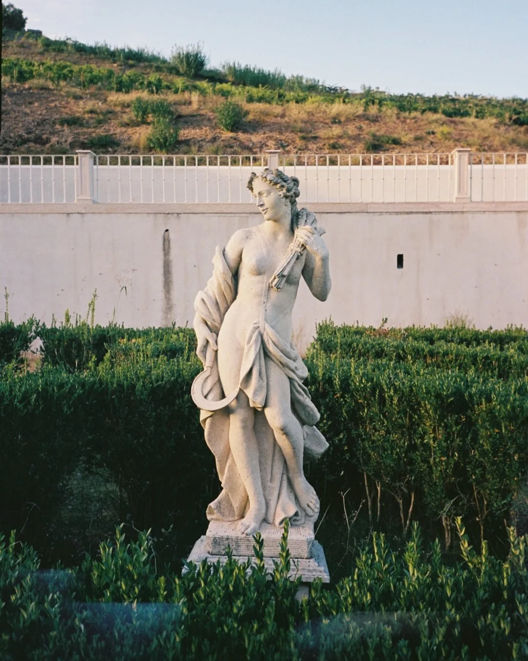 A very special wedding with a very special wedding team. Thank you @barbarabruschi_ and @bpbcfw  for allowing me to shoot your wedding. 

Amazing wedding team:

@domaweddings 

@palaciodocorreiomor 

@maria_fernandes_thomaz_

@gustavosimoesphoto

@du