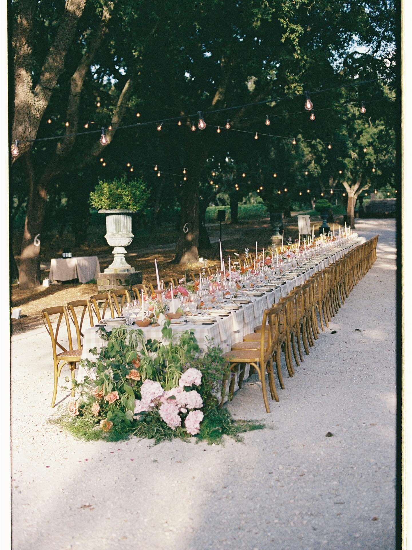 Elegance at the table on film 🎞️.
#analogweddingphotographer #filmweddingphotographer #herdadedoperu 

Wedding Team:
Venue: @herdadedoperu 
Wedding Planner: @domaweddings 
Make-up: @le_haute 
Hair: @letshair 
Flowers: @ohmariaflores 
Designs: @molde
