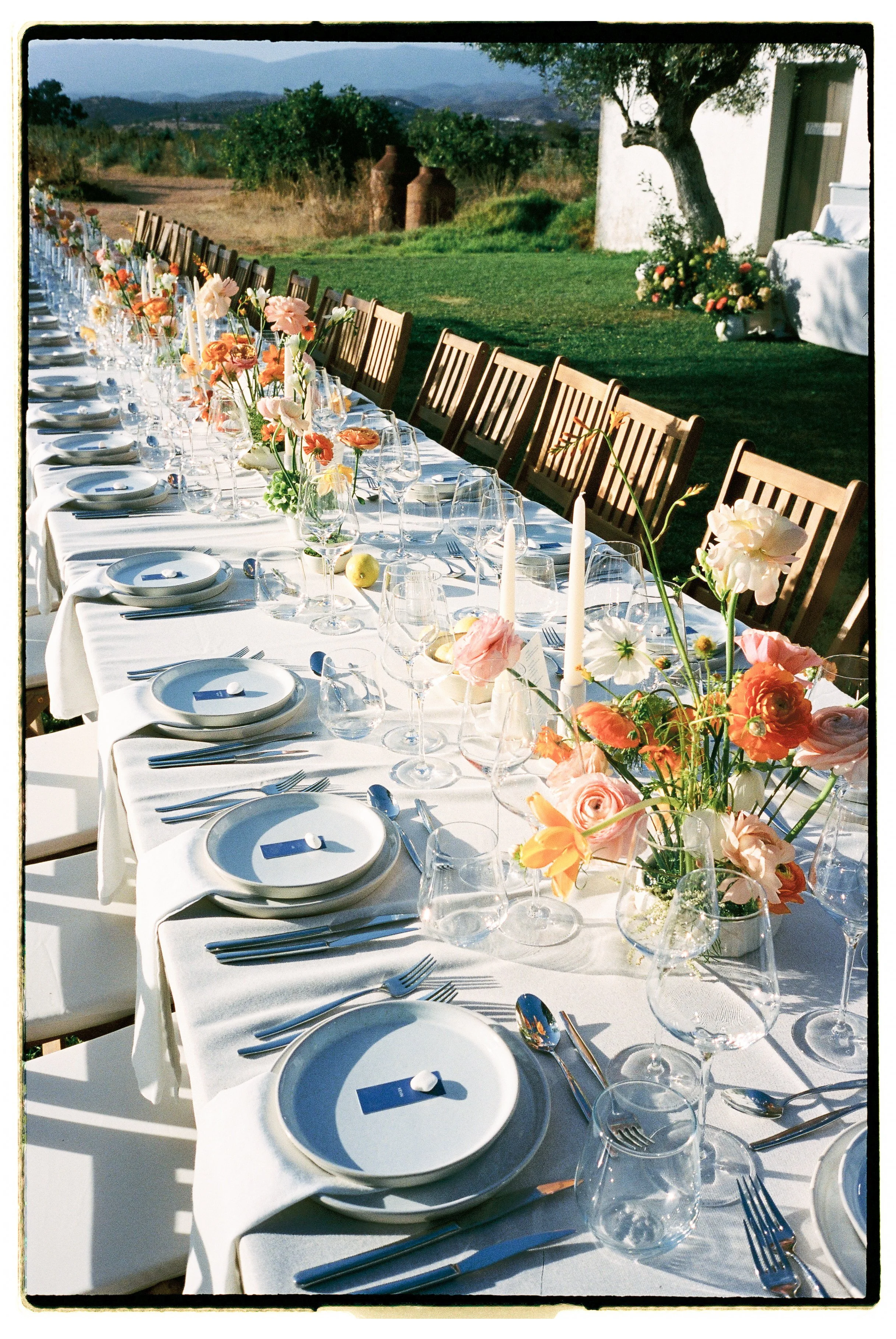 morgado-do-quintao-wedding-table-details-vineyard-dinner.jpg