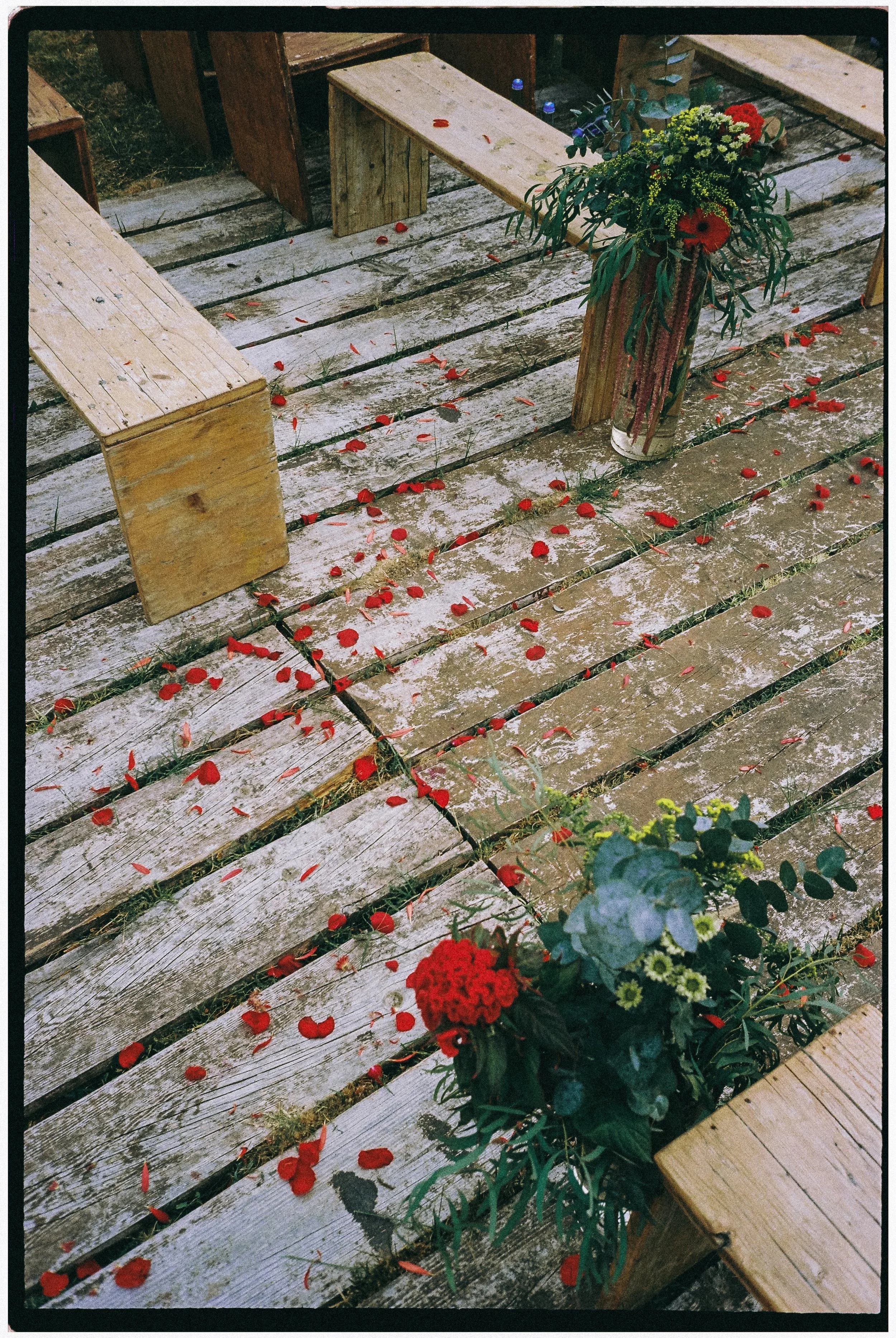 red rose petals scattered along wooden ceremony aisle at Rio do Prado wedding Óbidos Portugal