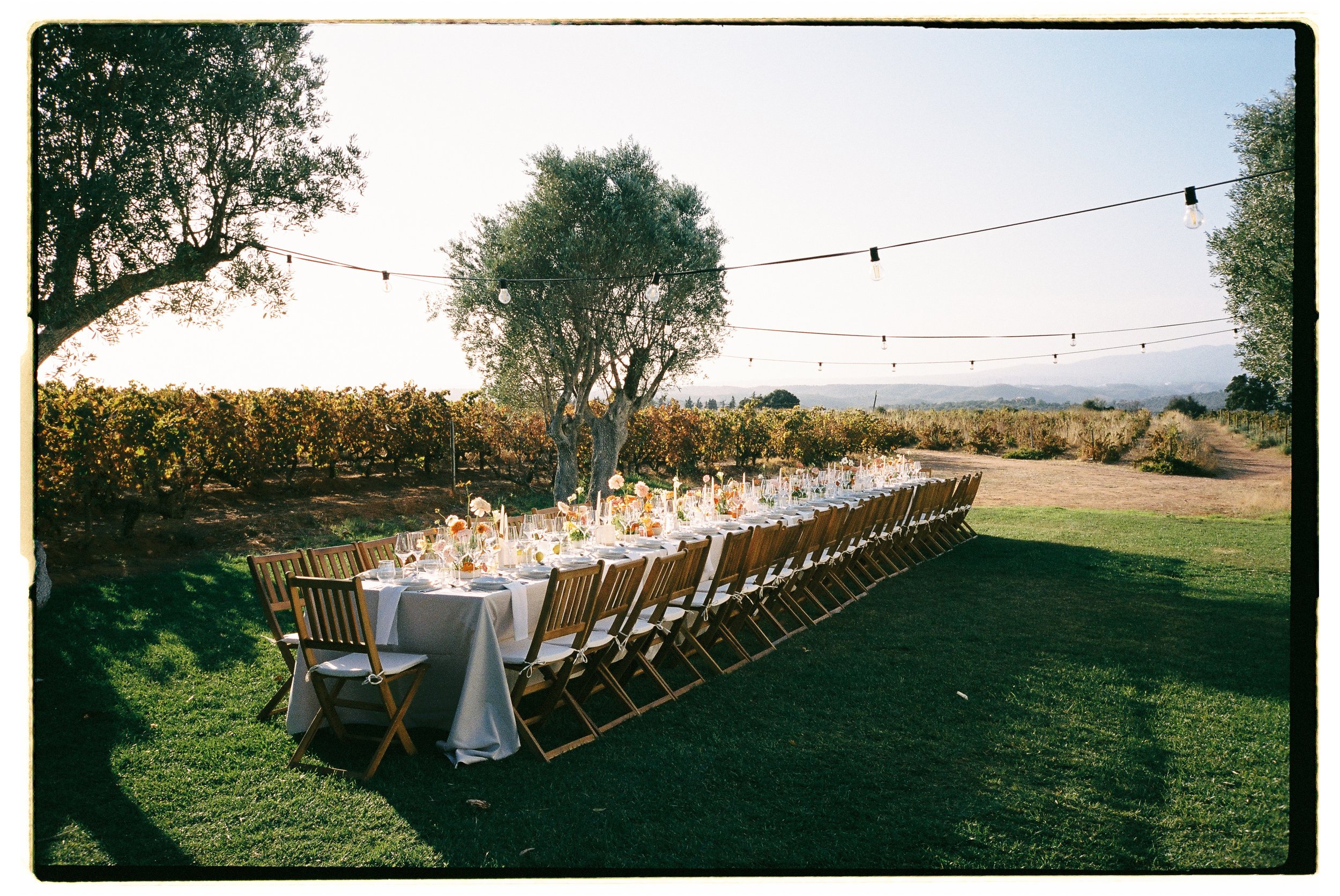 Long outdoor dinner table set among the vineyards at Morgado do Quintão during a destination wedding in the Algarve.