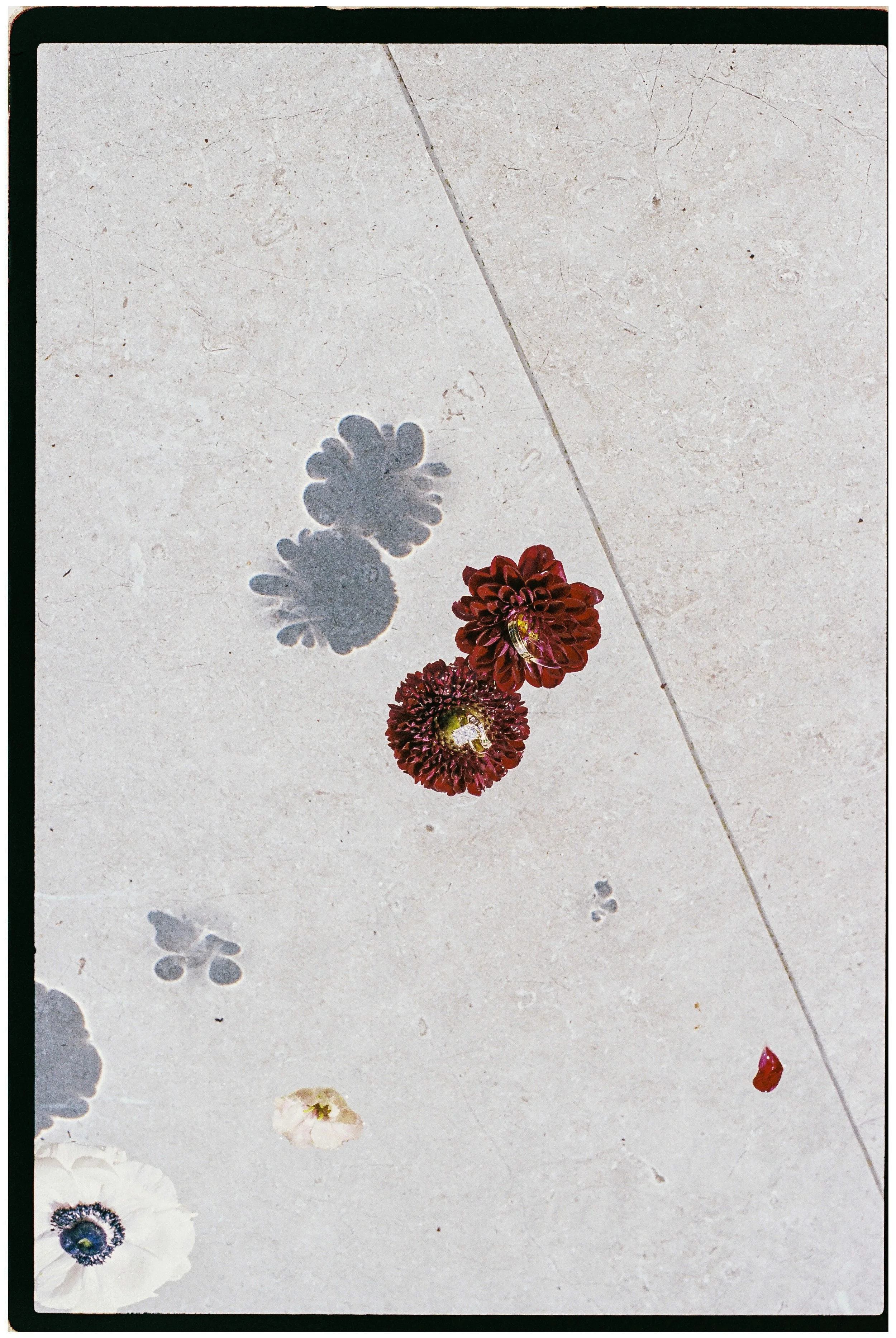 Fine art wedding detail with deep red flowers and shadows photographed during a destination wedding at Seteais Palace in Portugal.