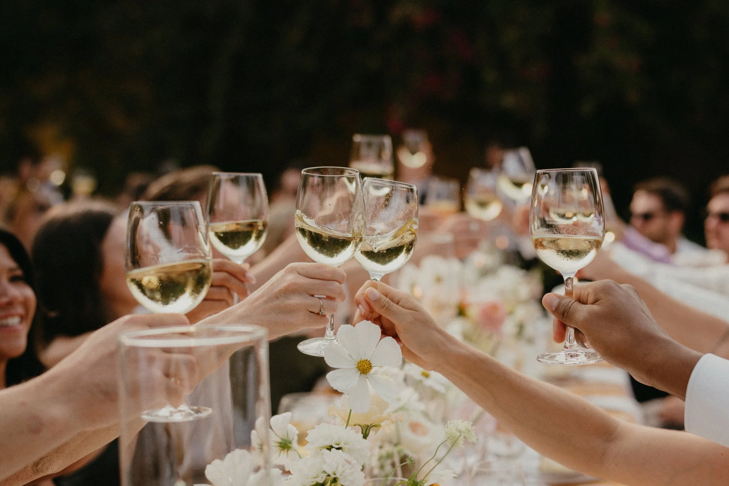 Wedding celebration toast at Quinta de Sant’Ana venue in Mafra Portugal during intimate reception