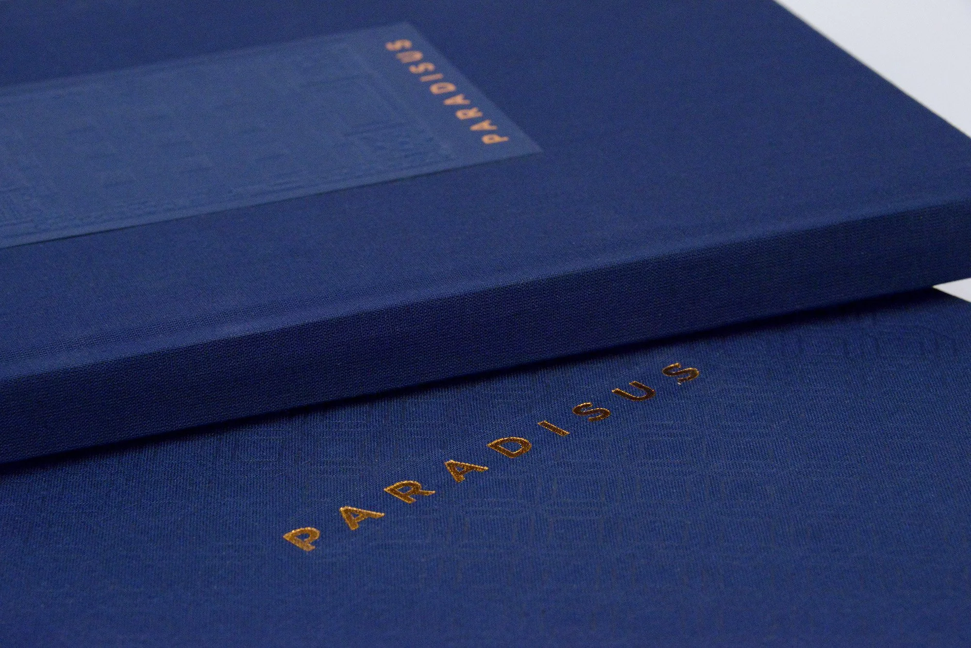 Paradisus_Detail-1.jpg