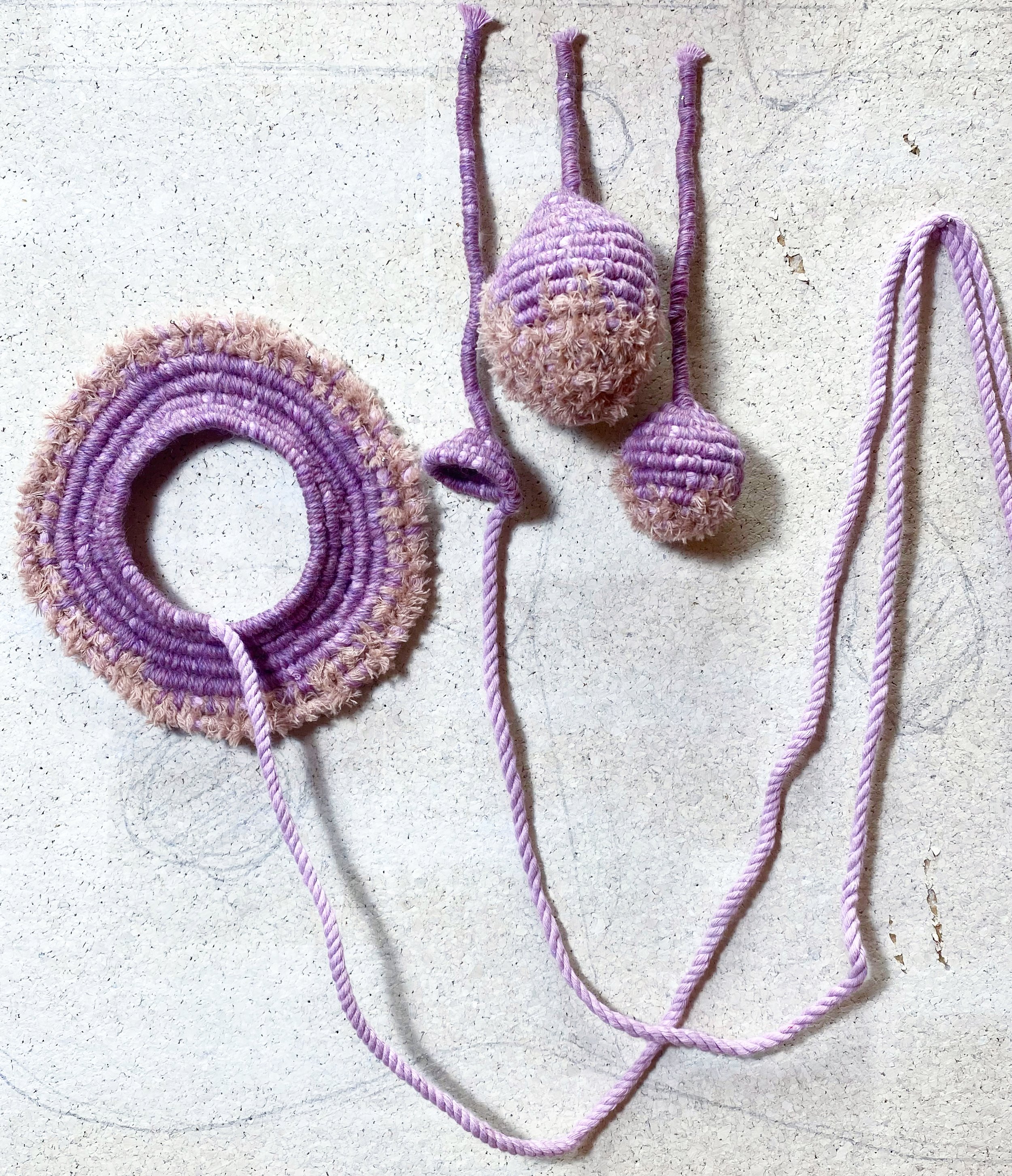 slime mould studio shot.jpg