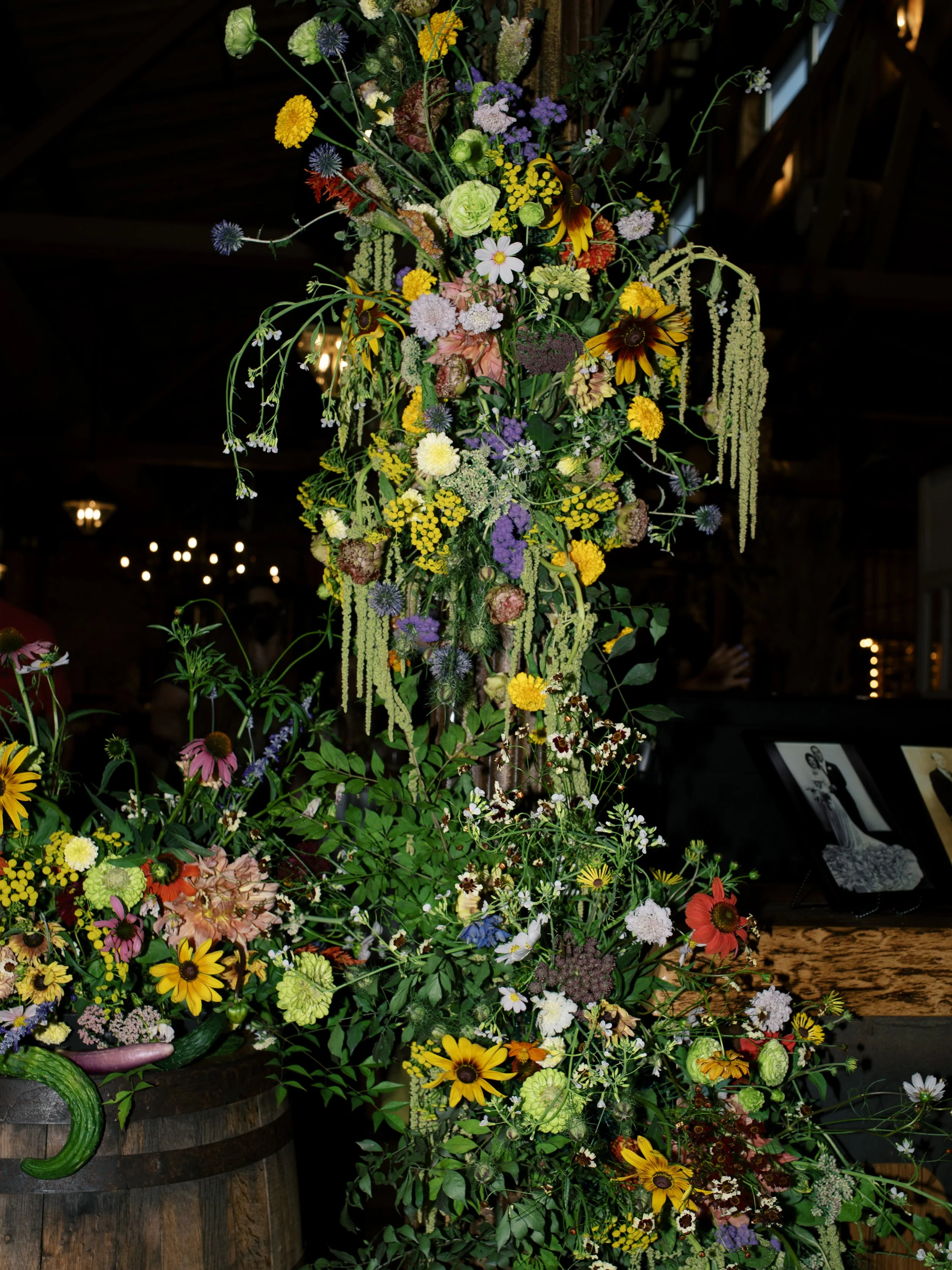 Sofie Celeste Photography