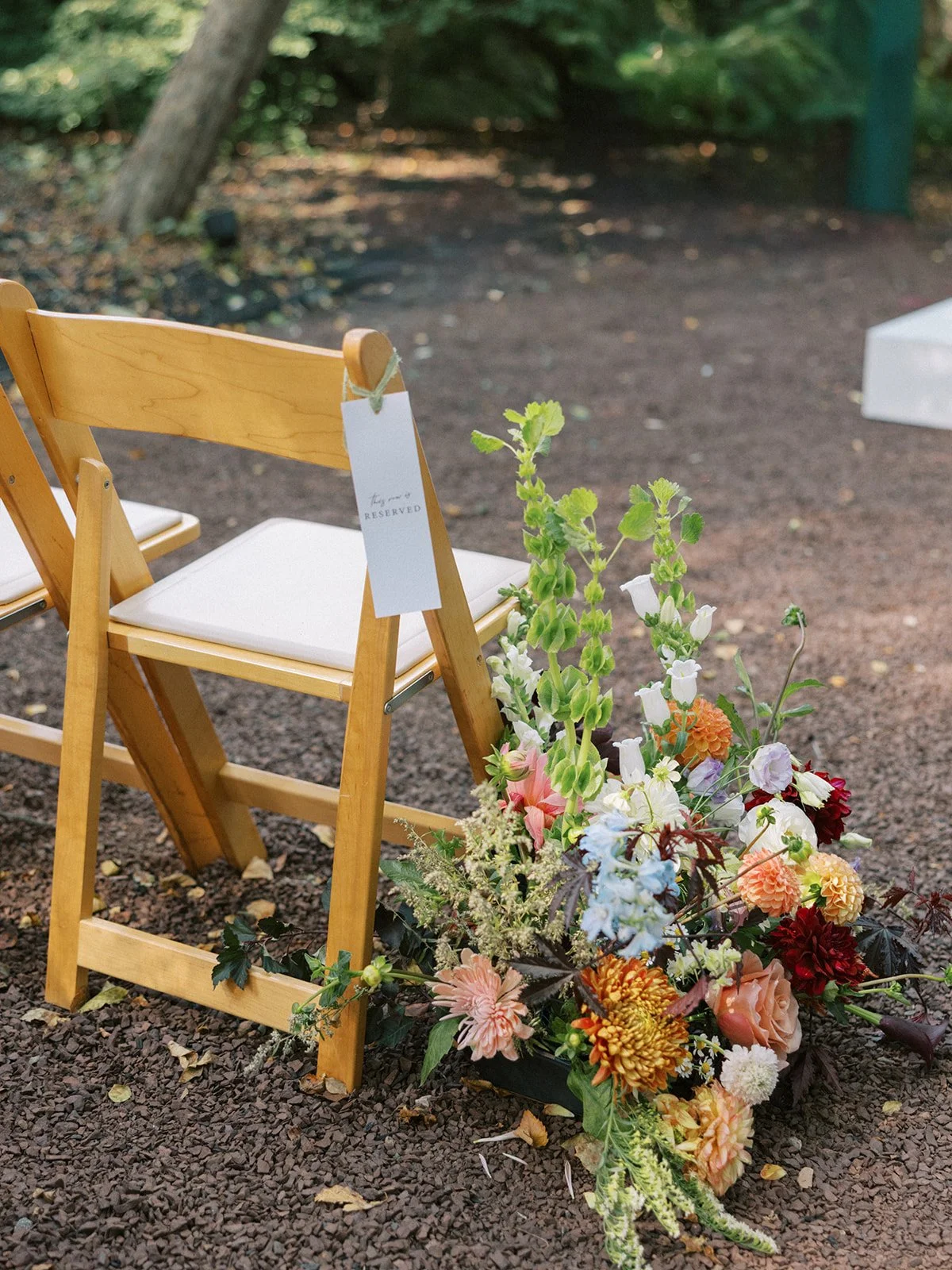 Lexi Jaice Photography