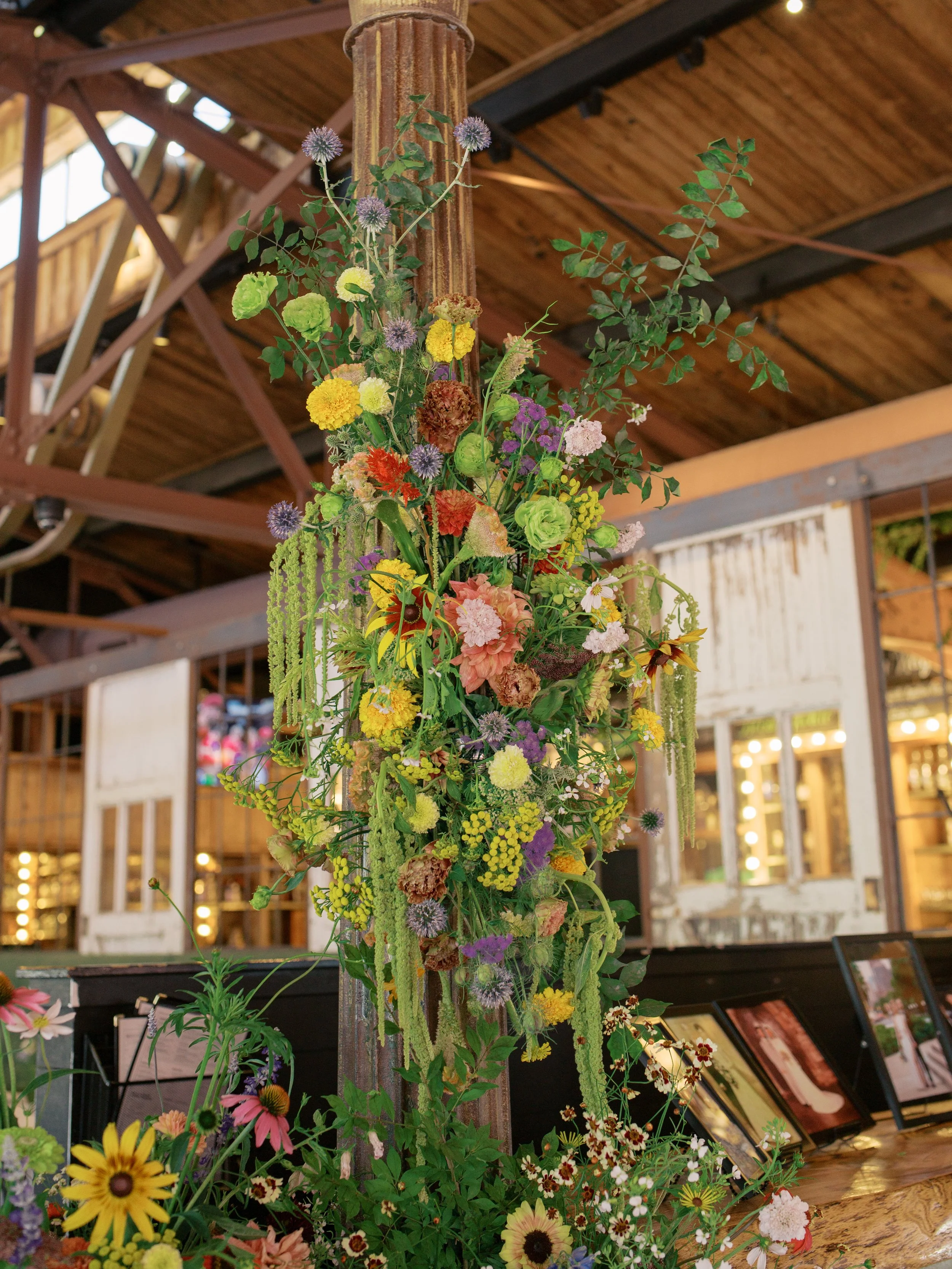 Sofie Celeste Photography