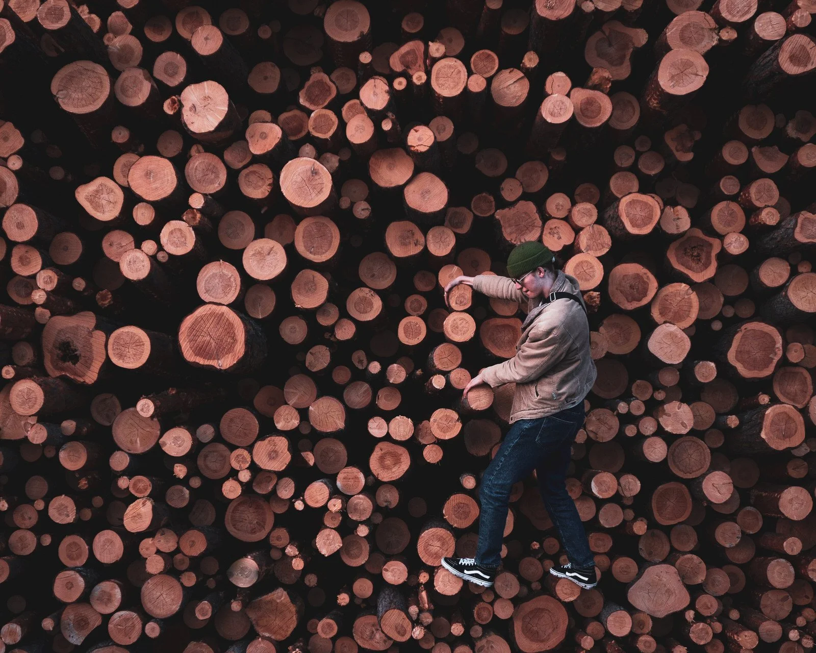 Viljami Potretit.JPG