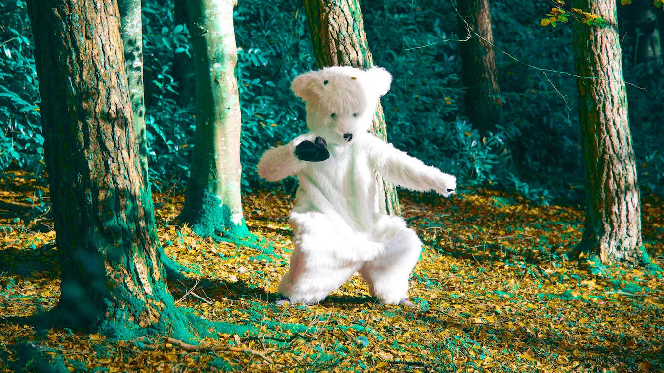 01_Does-a-bear-dance-in-the-woods_BB-SM.jpg