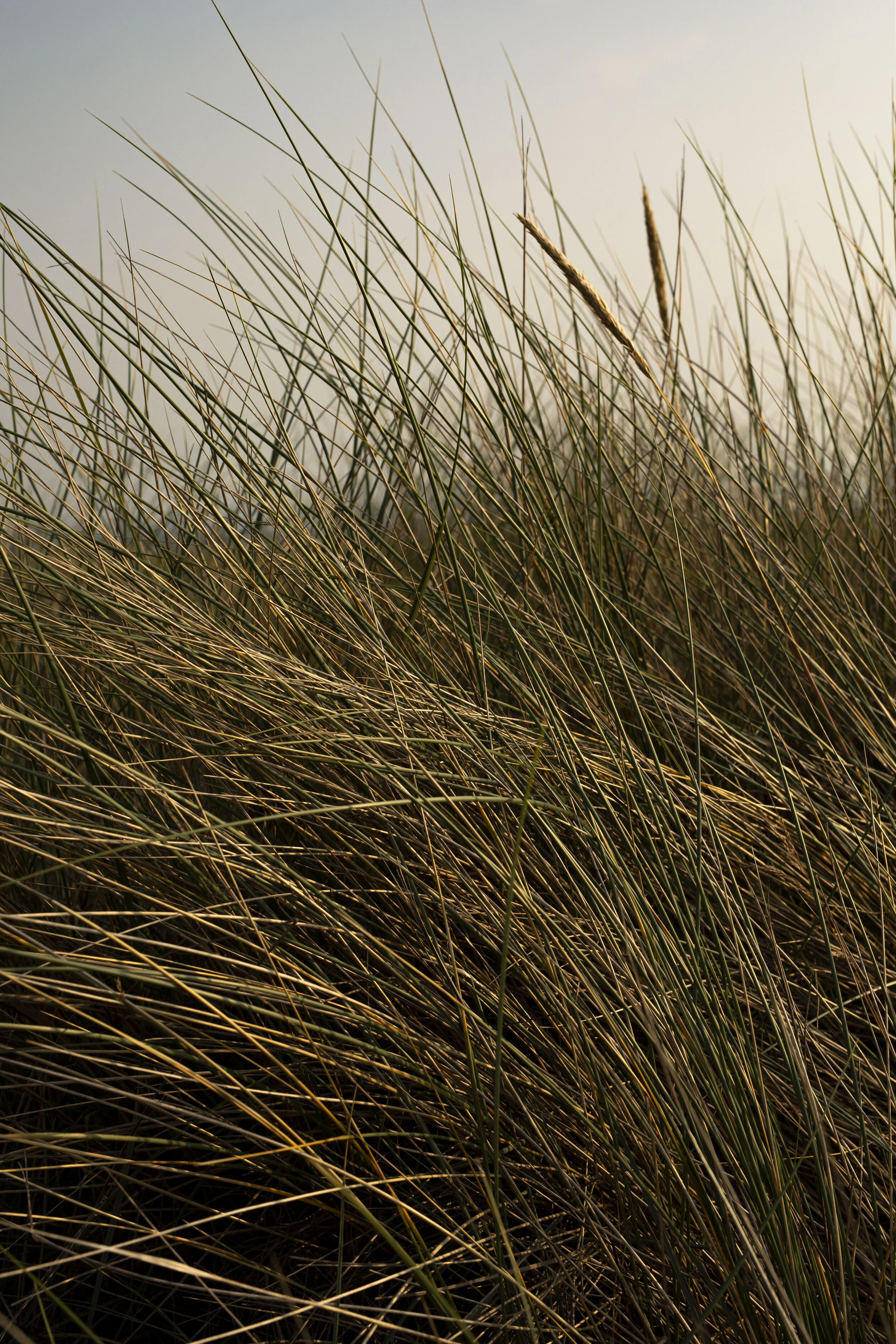 02_Crónán Creagh_Photography_ALLKINDS_AUKZ9340.JPG