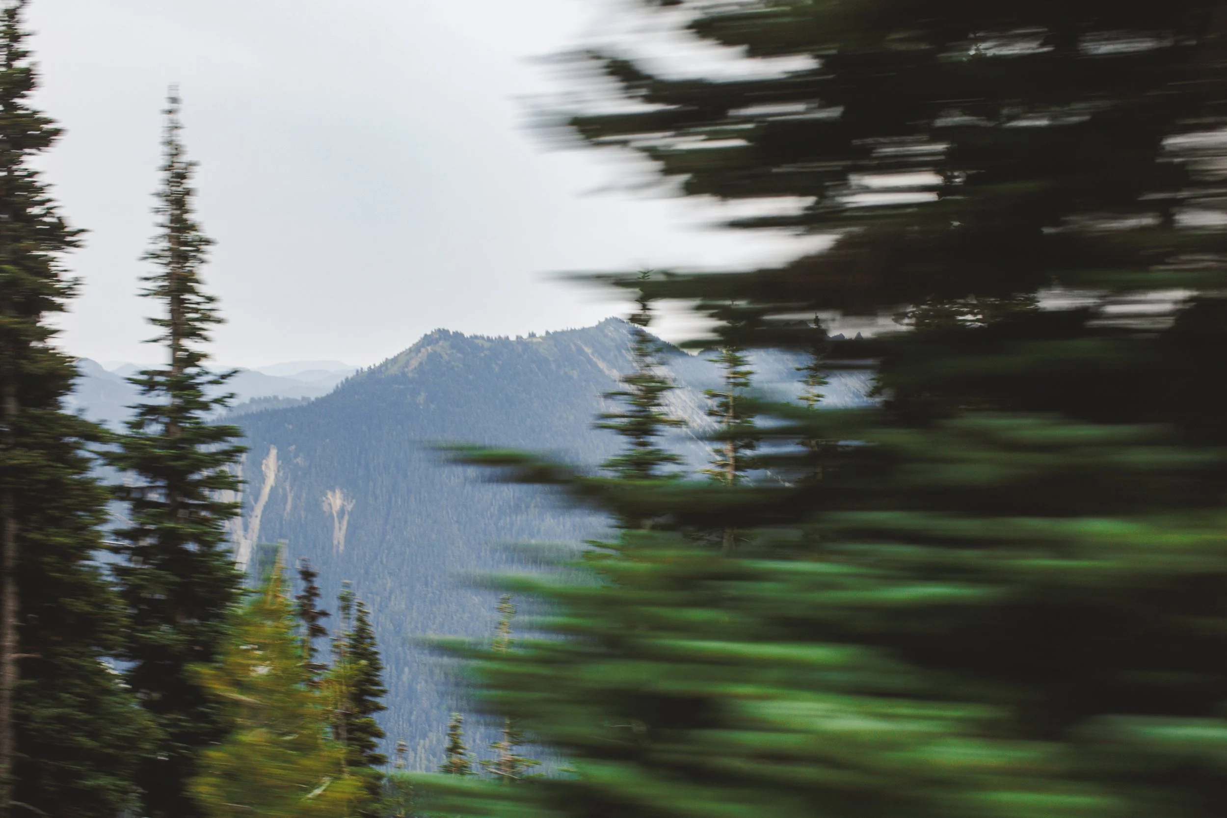 Michaela & Aj's Mt Rainier Elopement 2025 aaronmayphoto-17.jpg