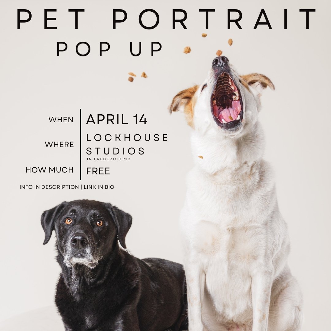 🐾🐾PET PORTRAIT POP-UP STUDIO SESSION🐾🐾

‼️🥳FULLY BOOKED!! 🥳‼️

⚠️If you want to be notified of the next pop-up, DM Me with your EMAIL to get on the waitlist⚠️

Ok, I've been holding onto this for long enough! I am so excited to announce my FREE