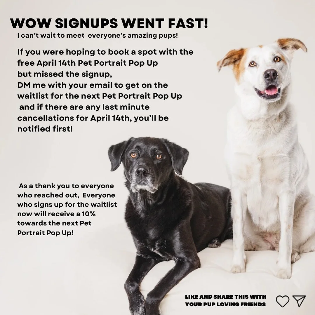 Thank you to everyone that reached out! Looking forward to meeting all of the fuzzybutts! 🥳🥹🙏🏼

DM me your email to get 10% off on the next pop up! 

THANK YOU @beecatcreative and @lockhouse_studios for sponsoring these sessions!

**Everything I 