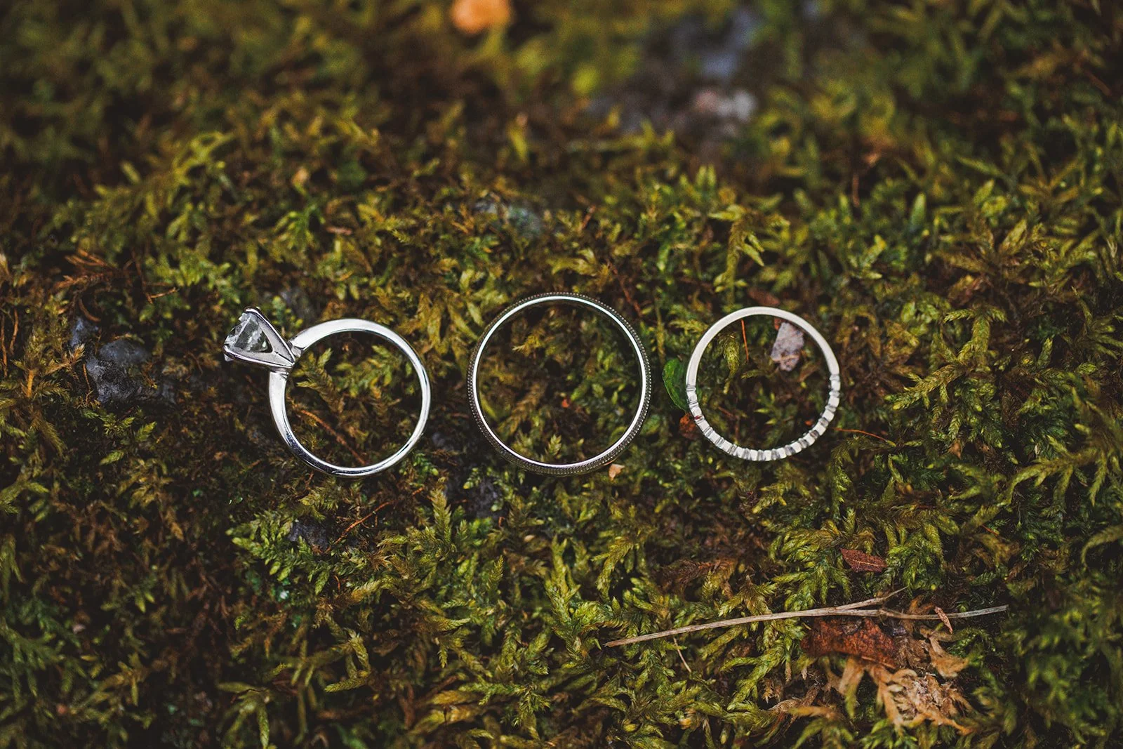 Amanda and Austin Elopement 2024 Edits-8184.jpg