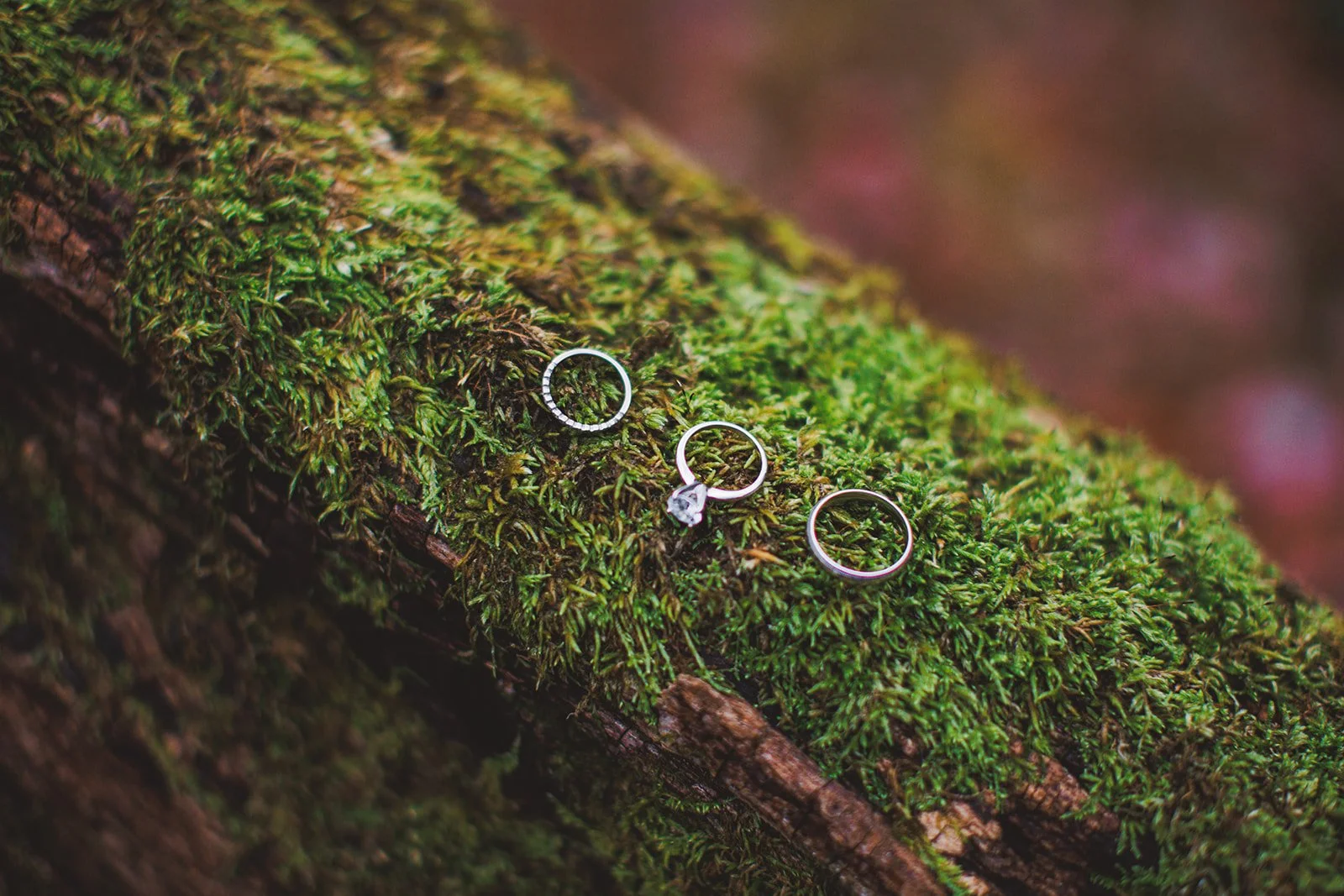 Amanda and Austin Elopement 2024 Edits-8154.jpg