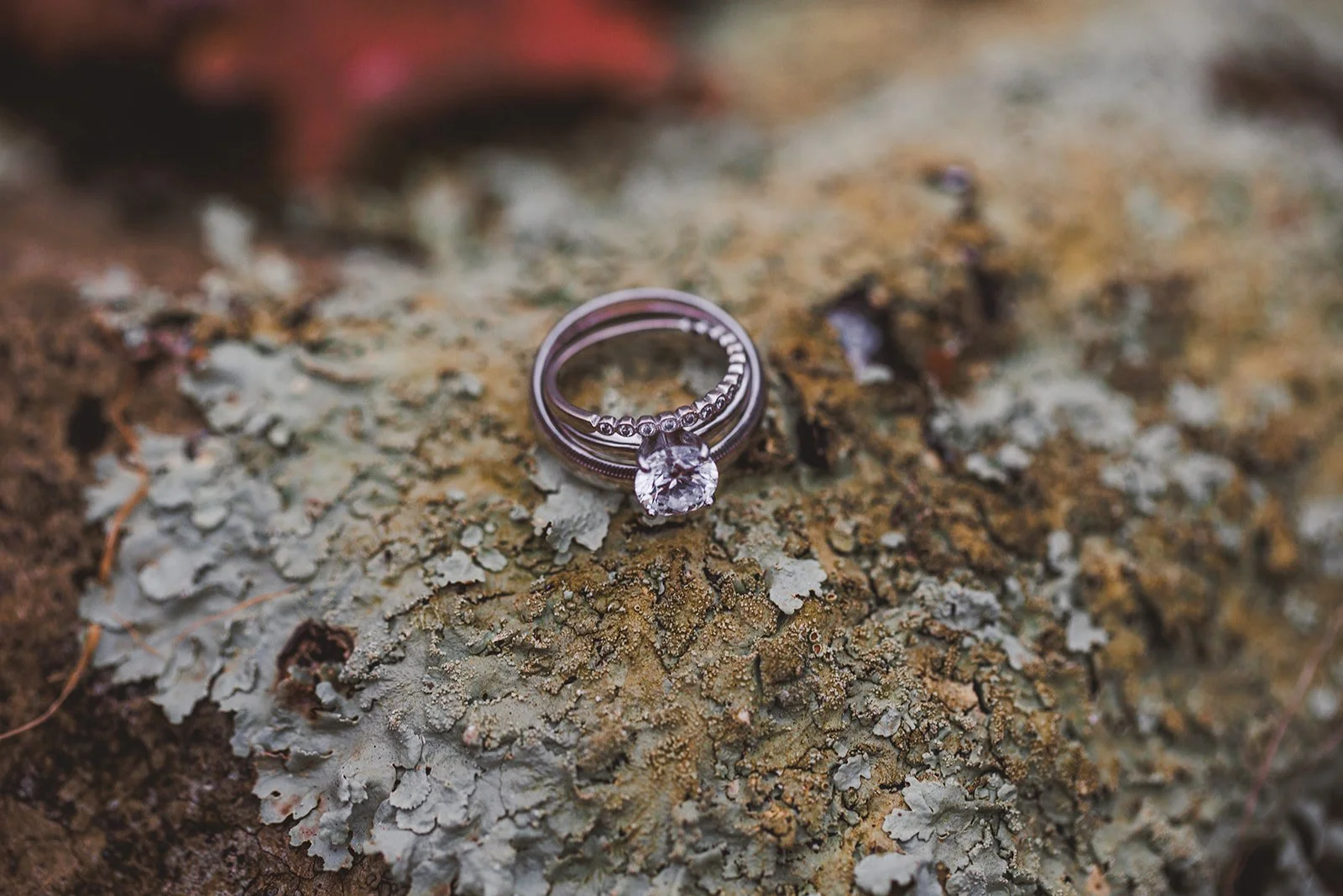 Amanda and Austin Elopement 2024 Edits-7082.jpg