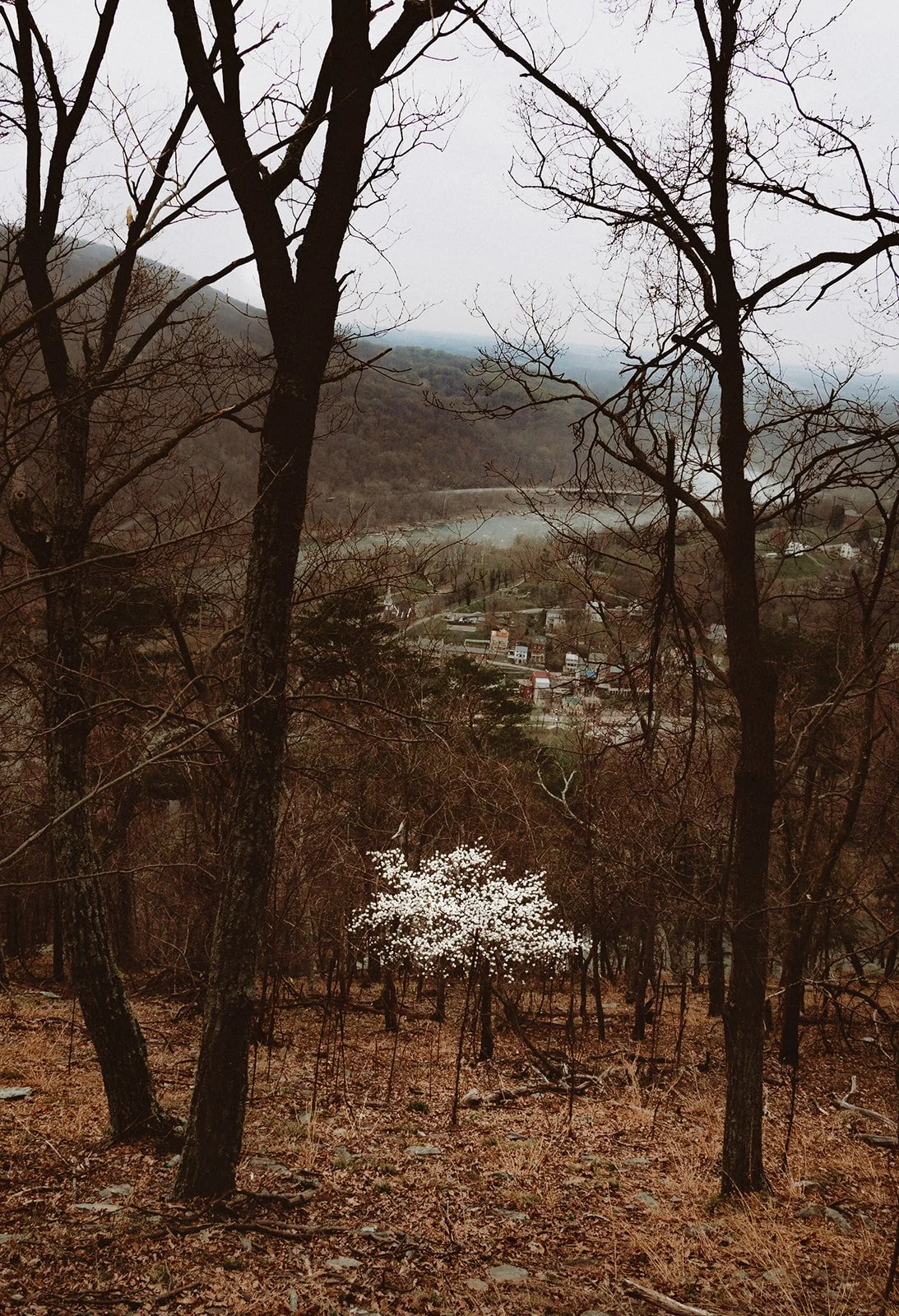 Harpers Ferry Photographer