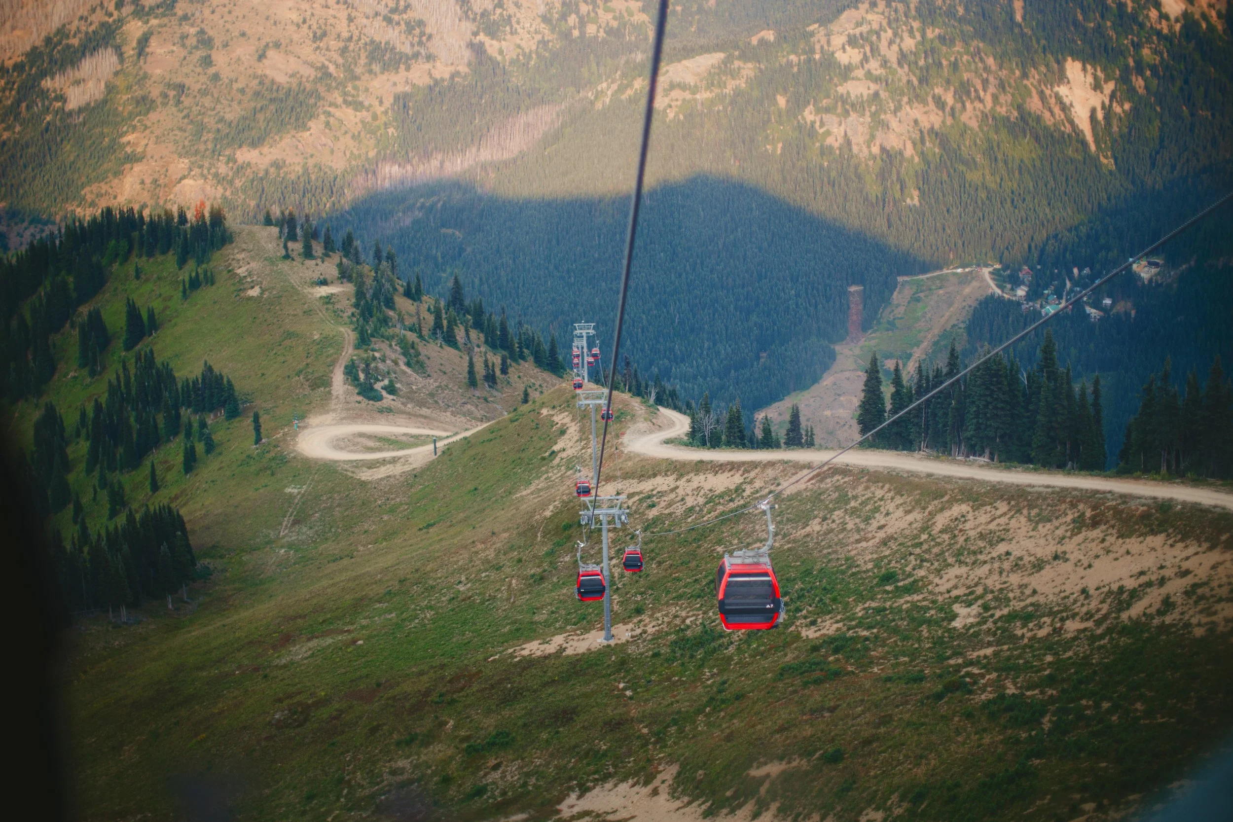 Michaela & Aj's Mt Rainier Elopement 2025 aaronmayphoto-99.jpg