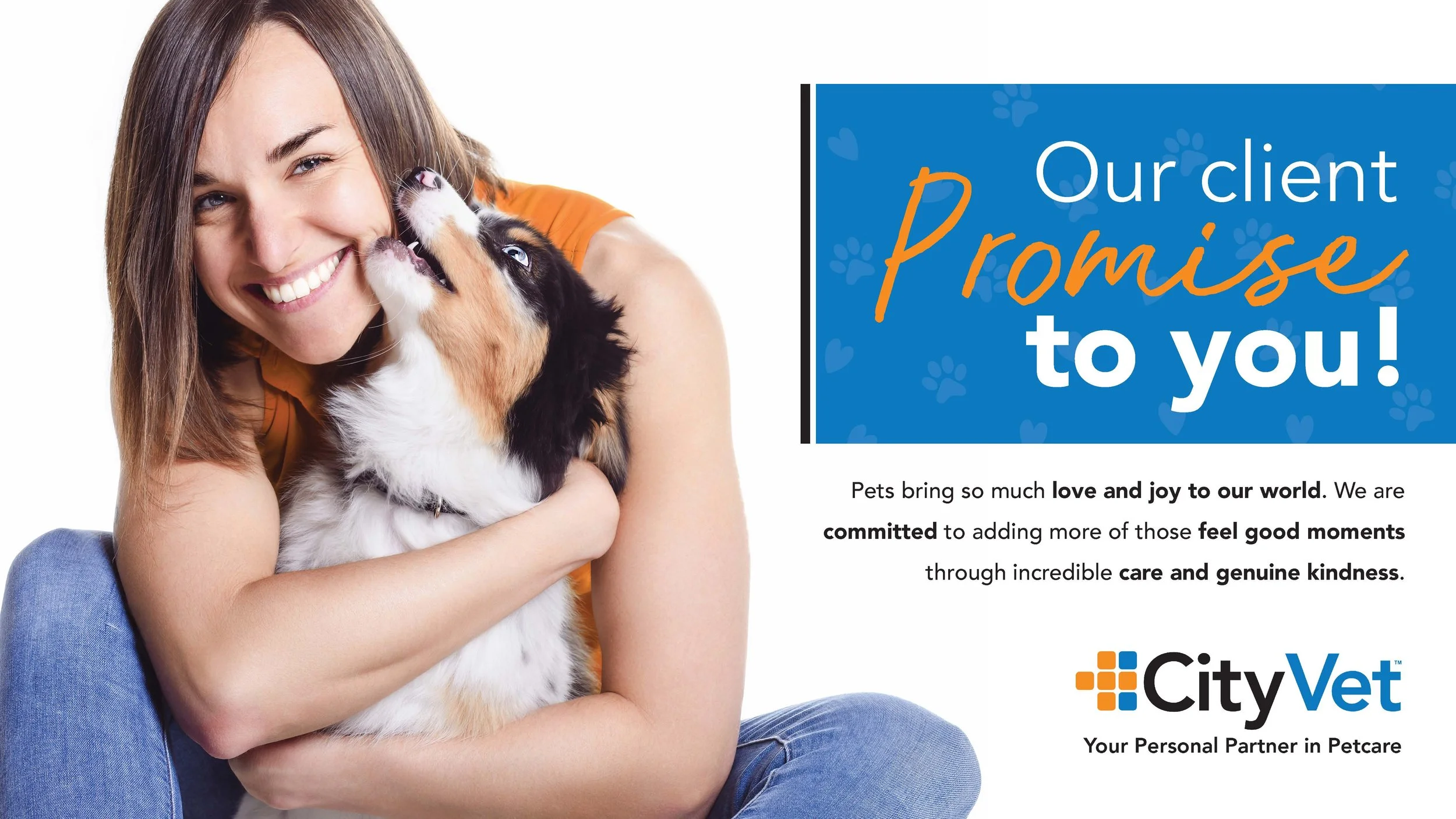 CityVet Promise Screen_Landscape_Tara Keane_Design Test_0224.jpg