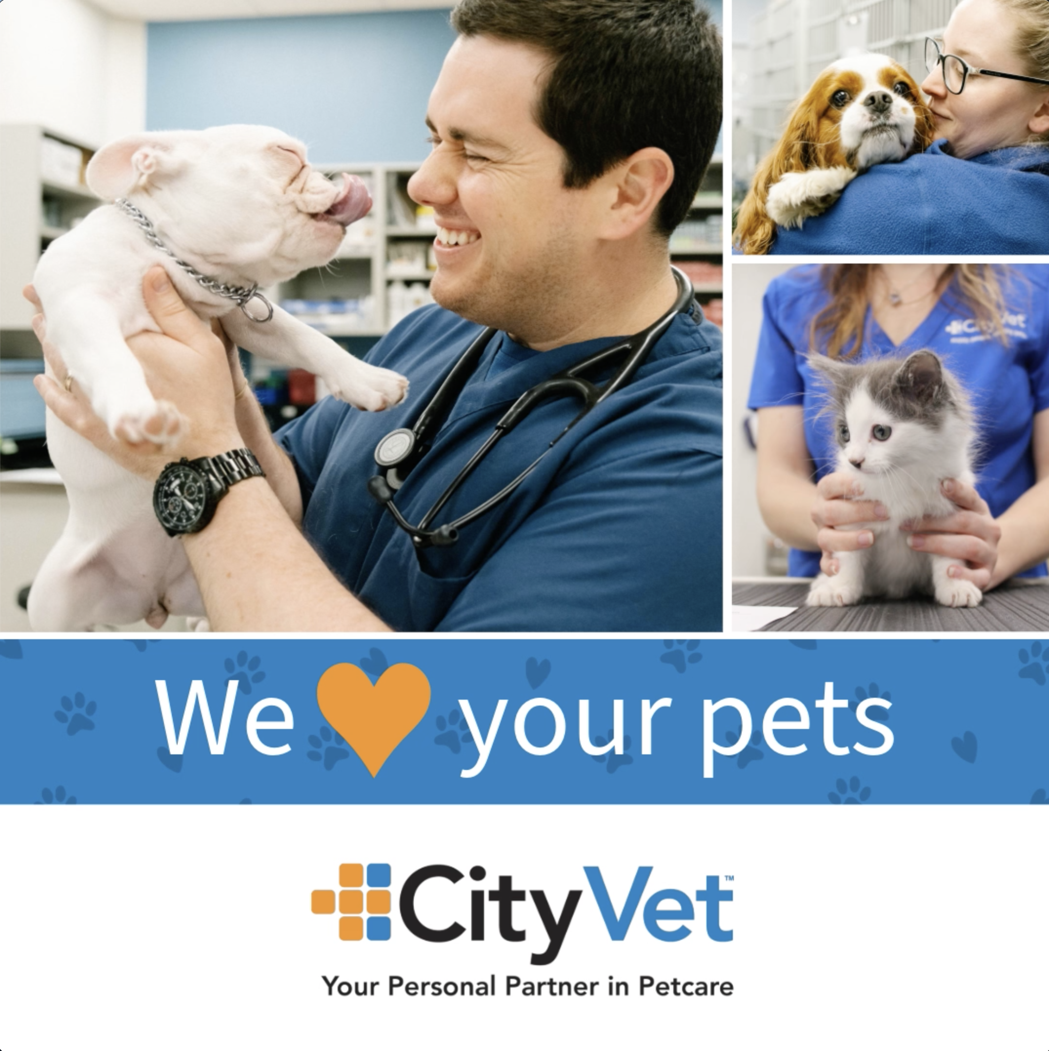 CityVet Social Post