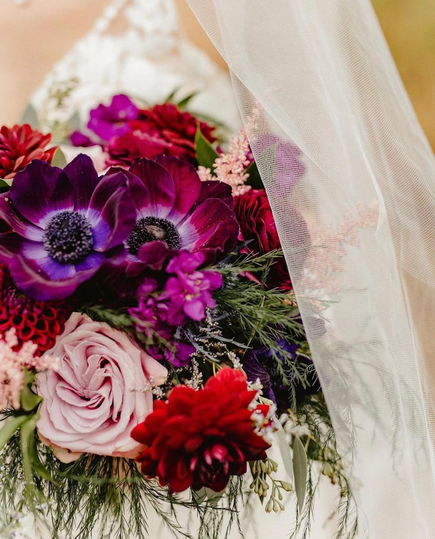 Life of the Party.jpg