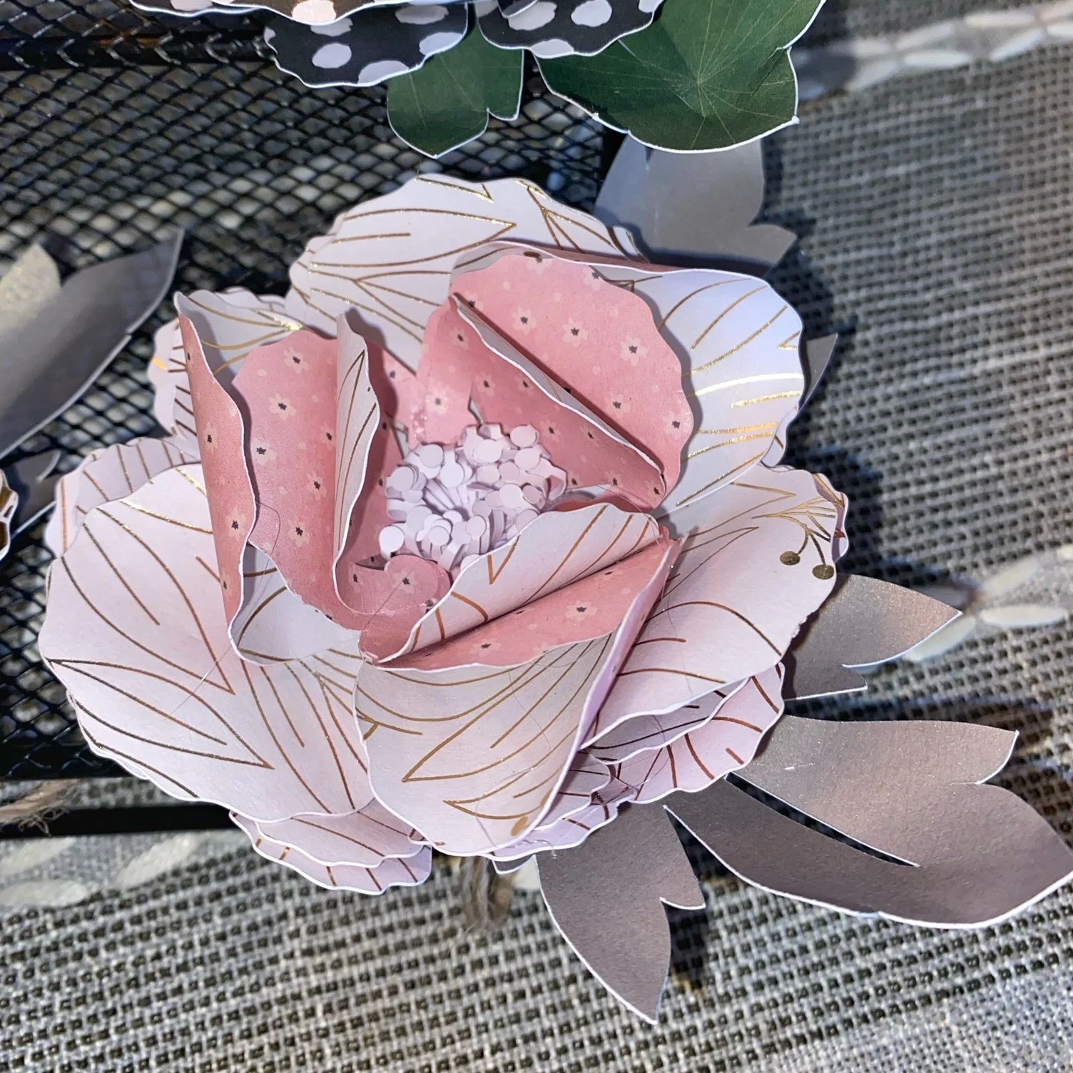 Peony - Pinks and White.JPG