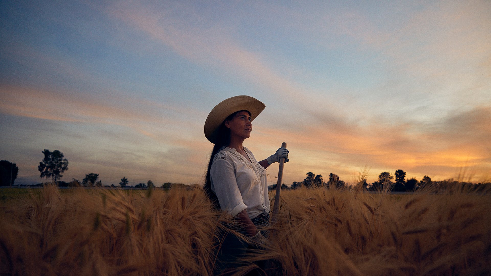 Agricultores_9 1.jpg