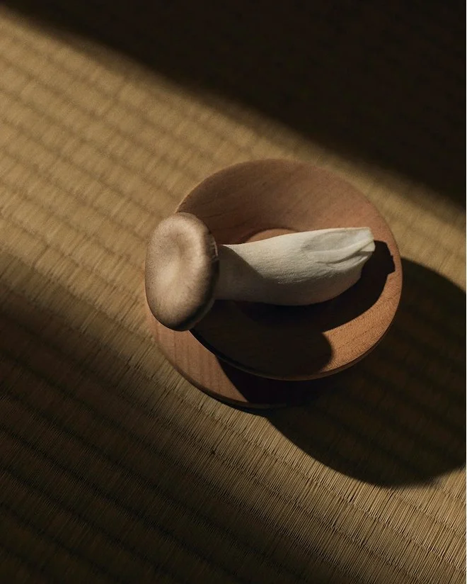 Hongos_Japon_3 1.jpg