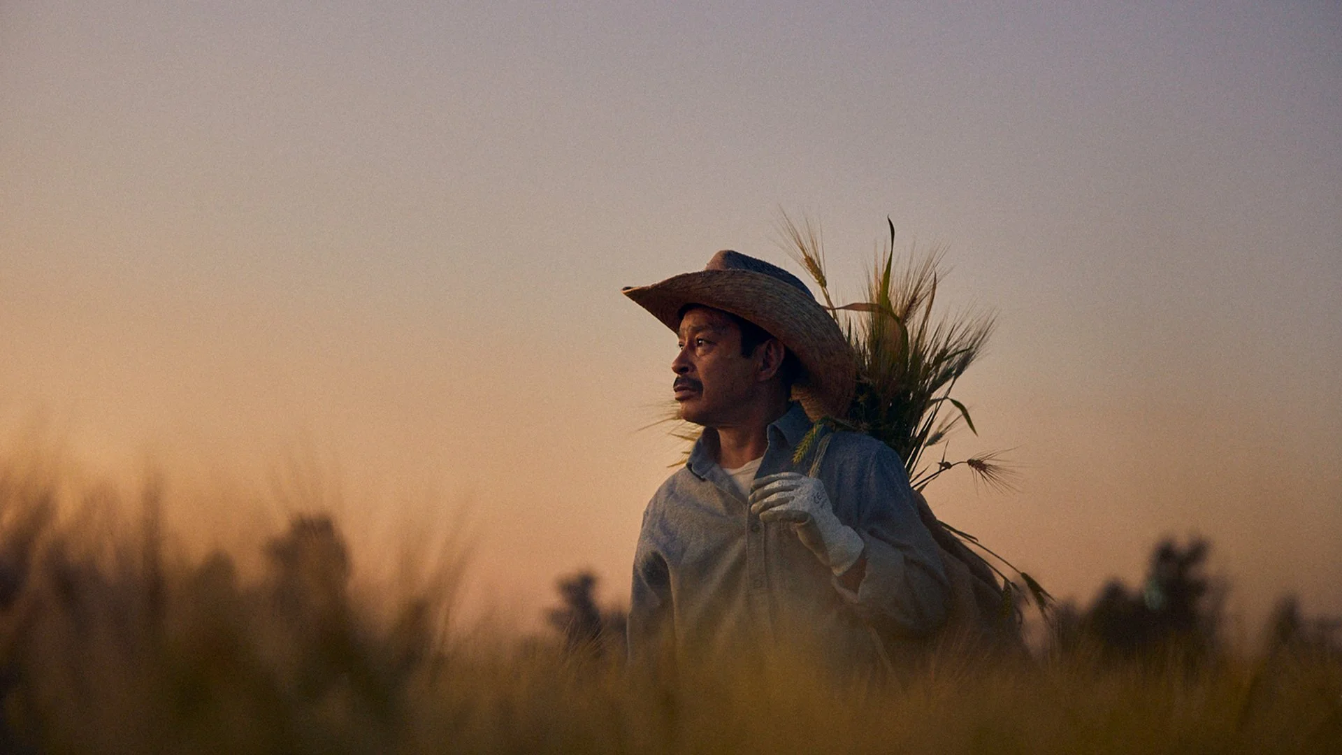 Agricultores_1 1.jpg