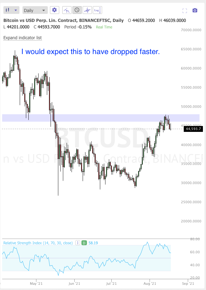 August 19th analysis and watchlist