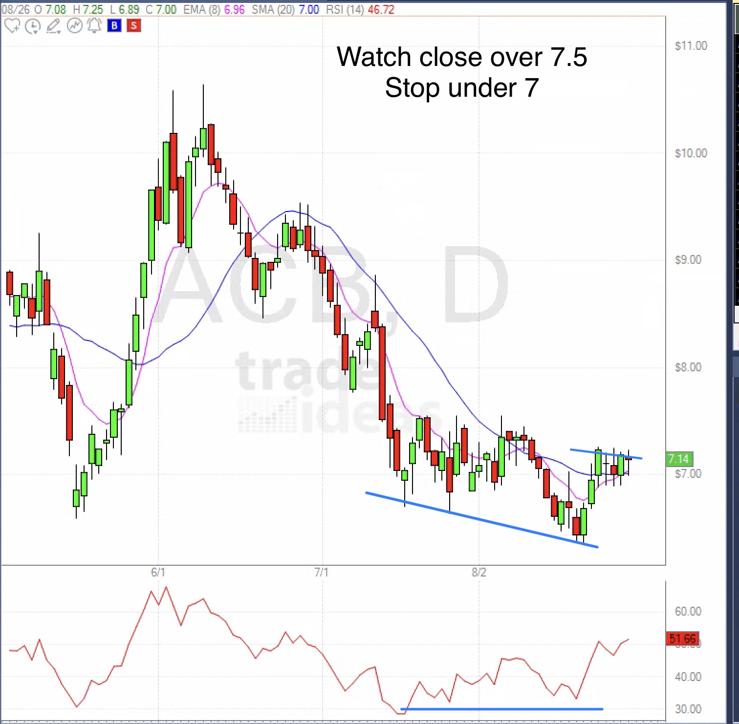 August 31st analysis and watchlist
