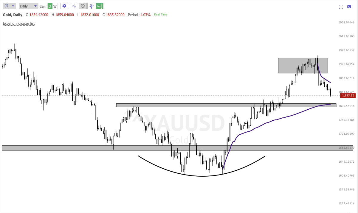 FEB 16th analysis and watchlist