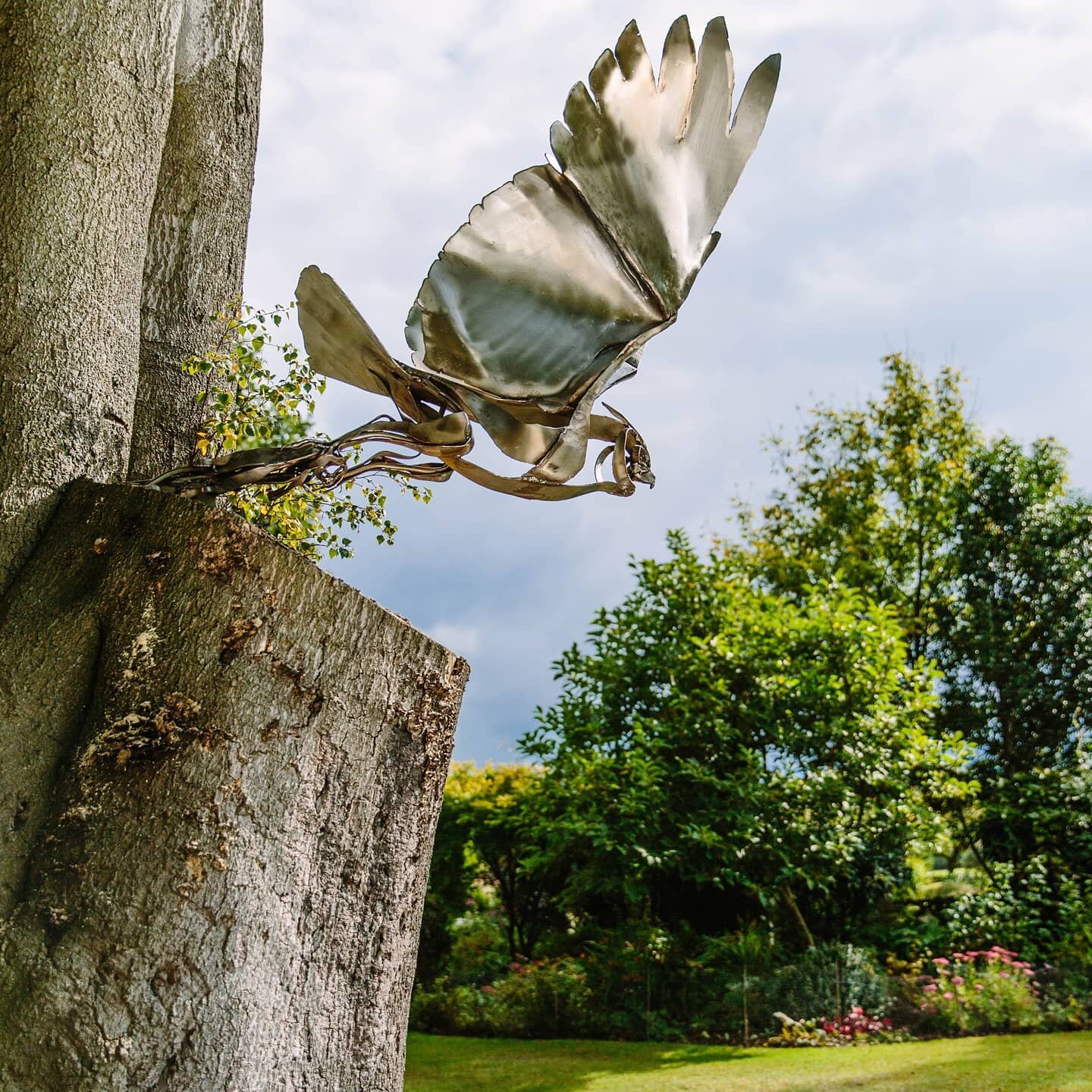 This tree had to be trimmed thereby creating a natural plinth for an eagle owl
#gardensculpture #gardendesigner #gardenart #gardendesign #landscapedesign #landscapearchitect #birdsculpture #owl #owlsculpture #birdsculpture #rspb #owlart #commissioned