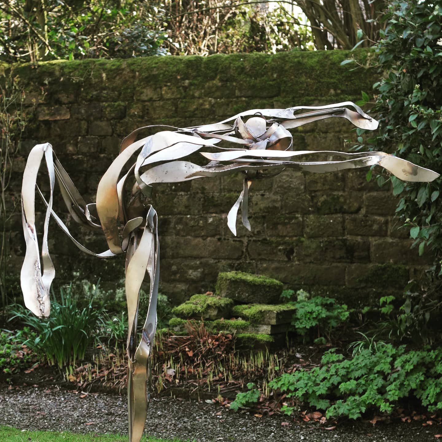 Brightening up a dark garden #dancersofinstagram #dancer #gardenart #gardensculpture #gardendesigner #metalsculpture #sculpture #contemporaryart #dancesculpture